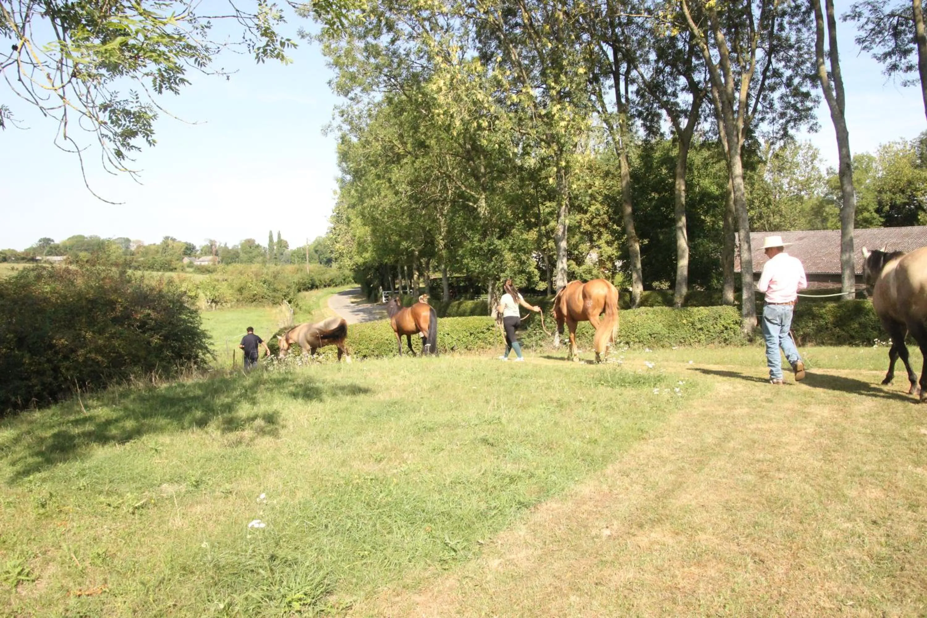 Horse-riding in Ferme de Genève