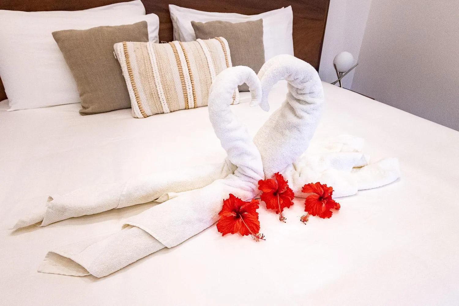 Bed in Aves Resort Montezuma