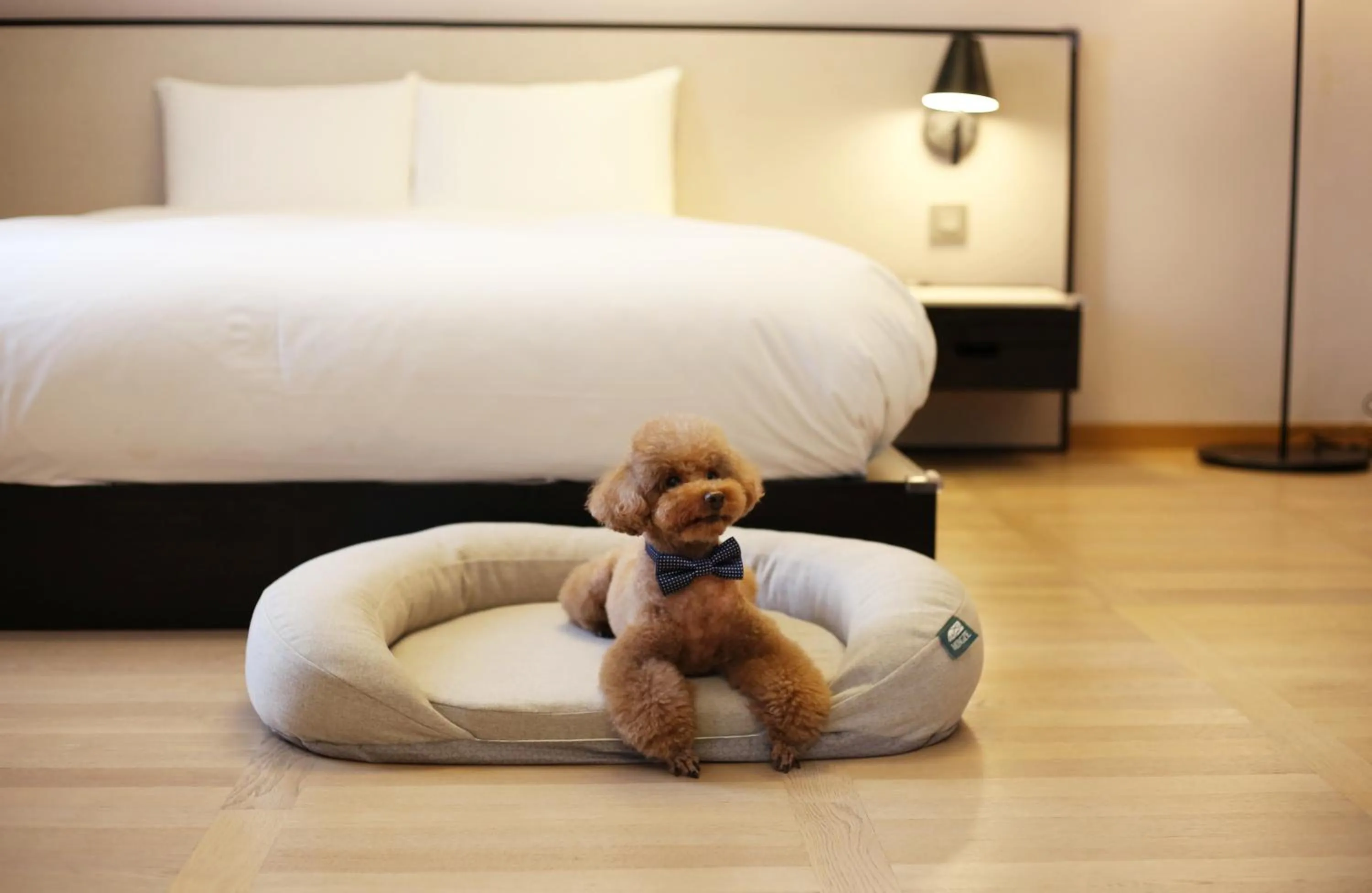 Bed in Maison Glad Jeju