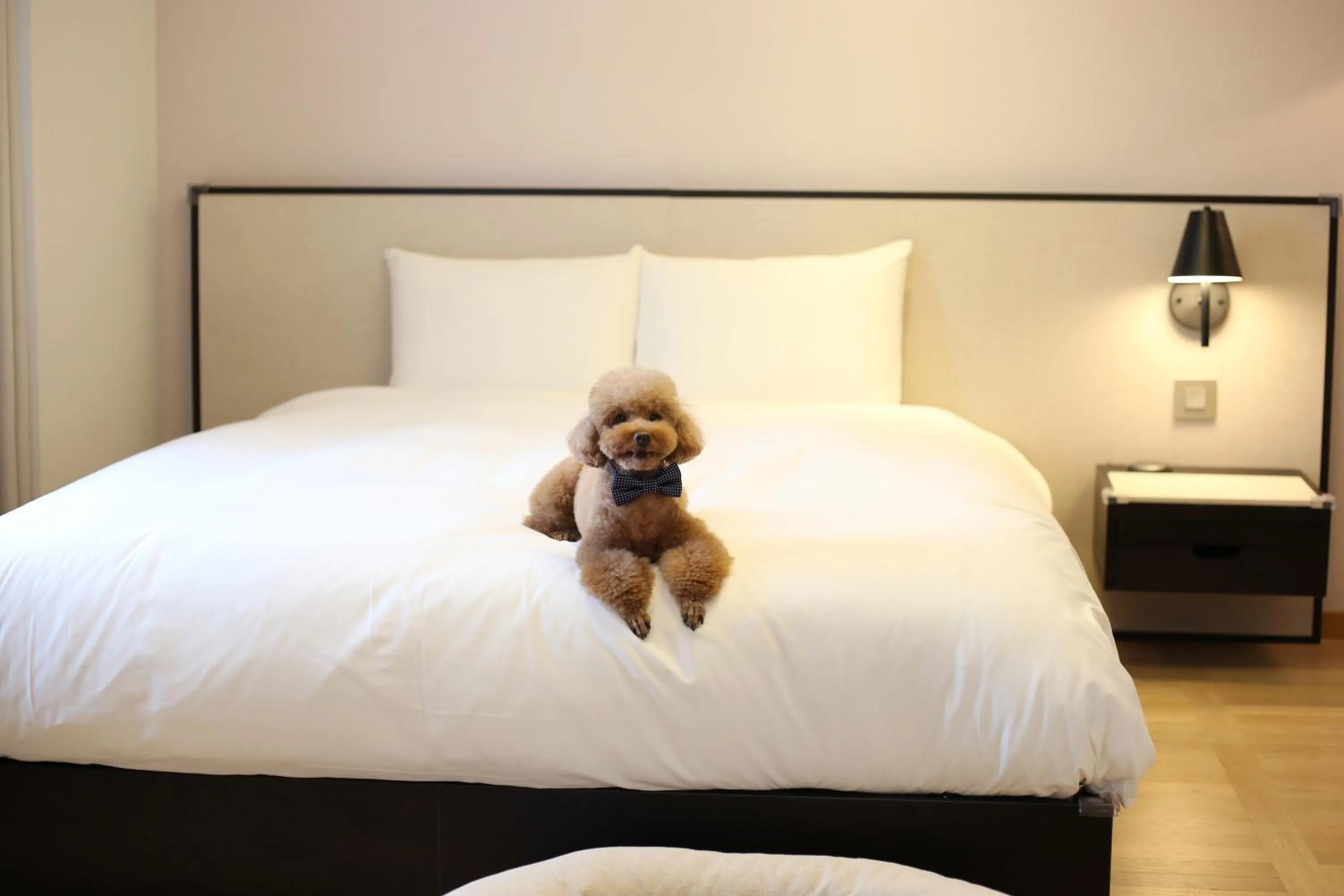 Bed in Maison Glad Jeju