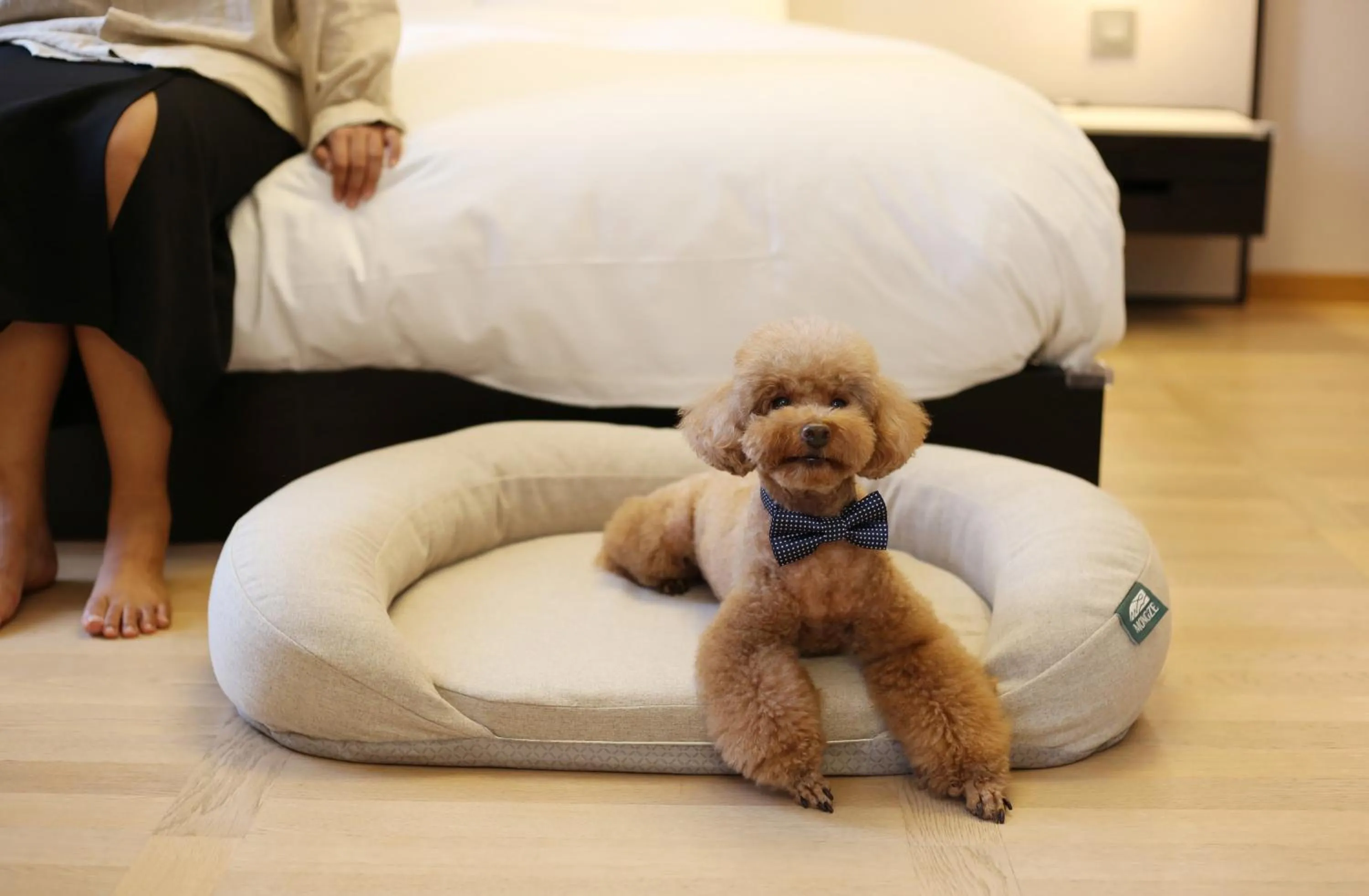 Bed in Maison Glad Jeju