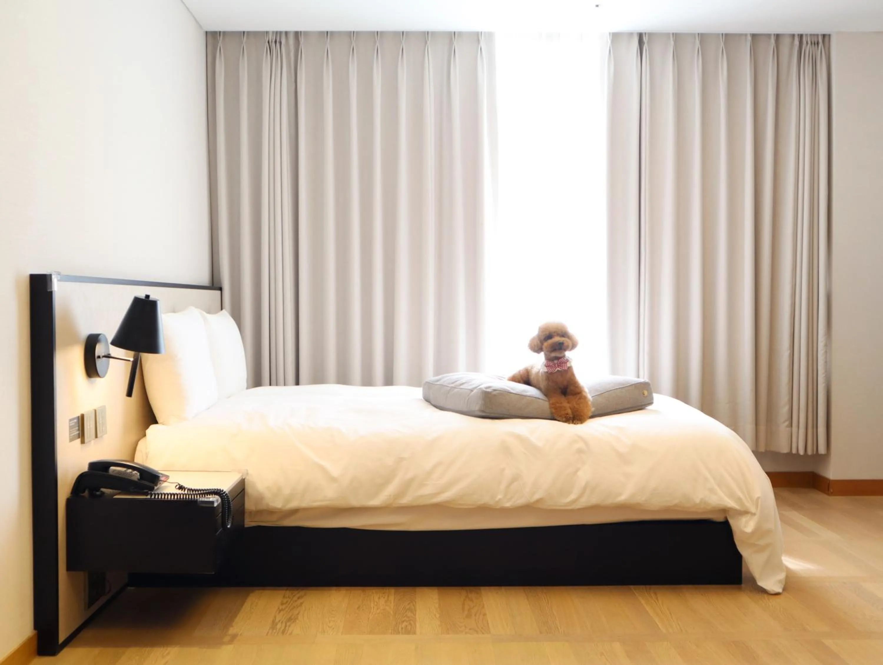 Bed in Maison Glad Jeju