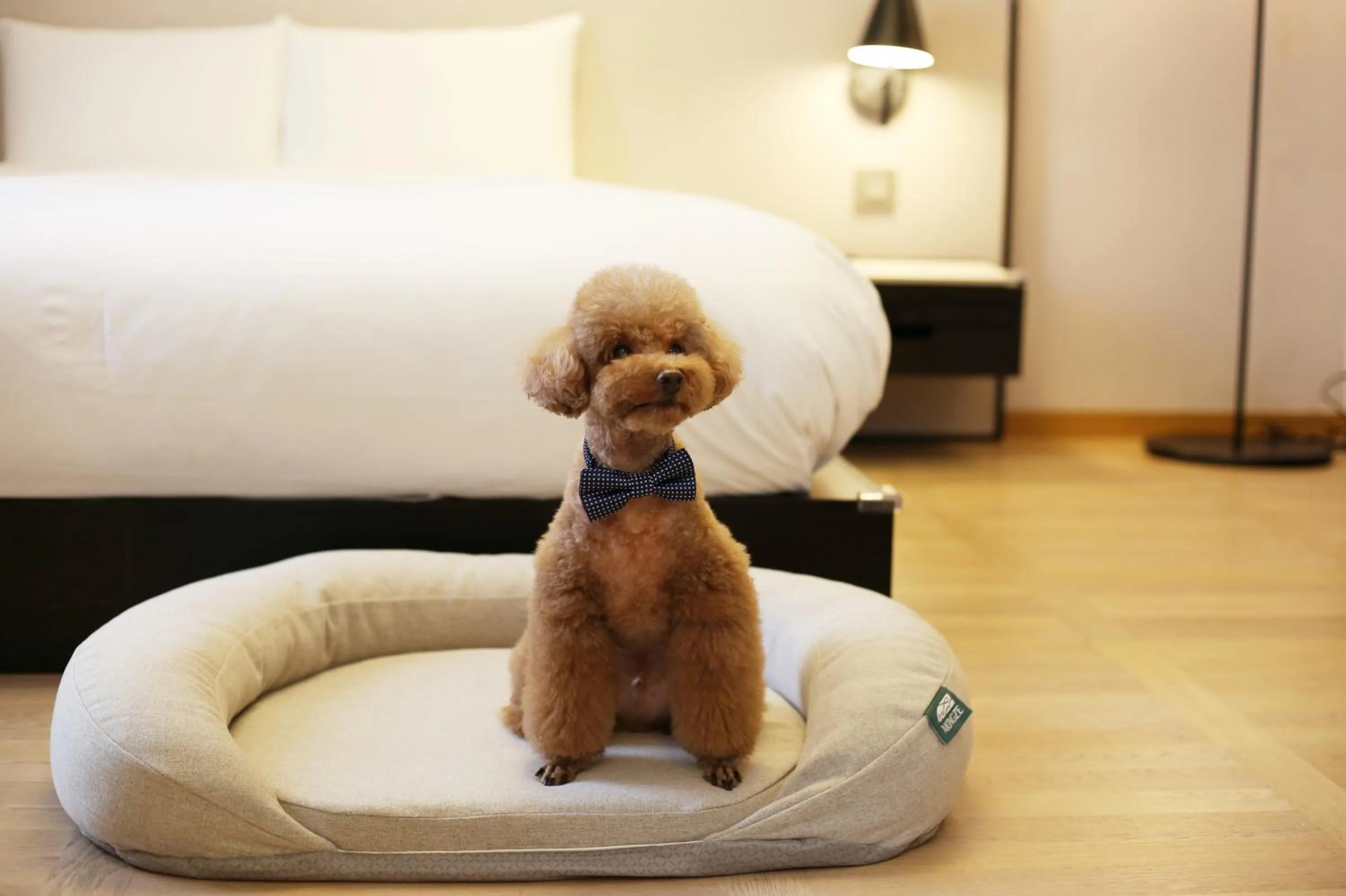 Bed in Maison Glad Jeju