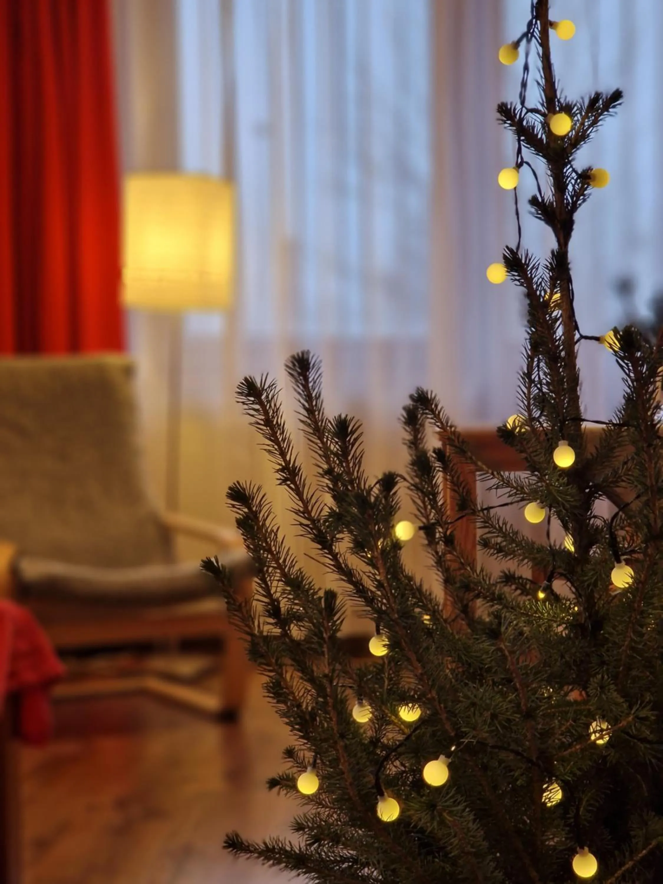 Winter in Zakopane Stop