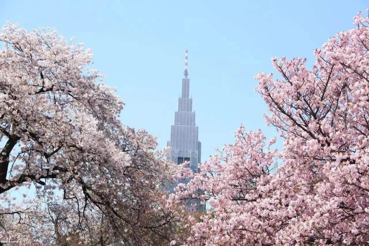 Nearby landmark in Hotel Koryukaku