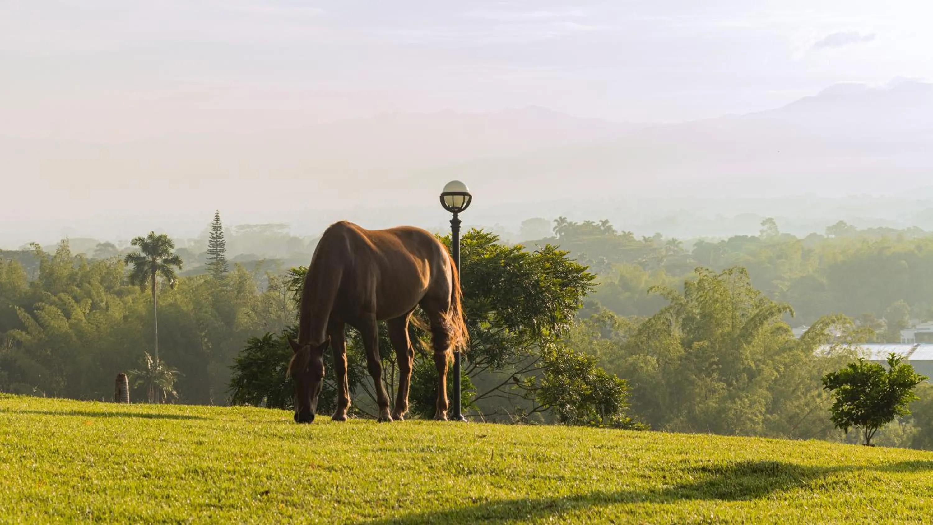 Nearby landmark in Rancho Eden