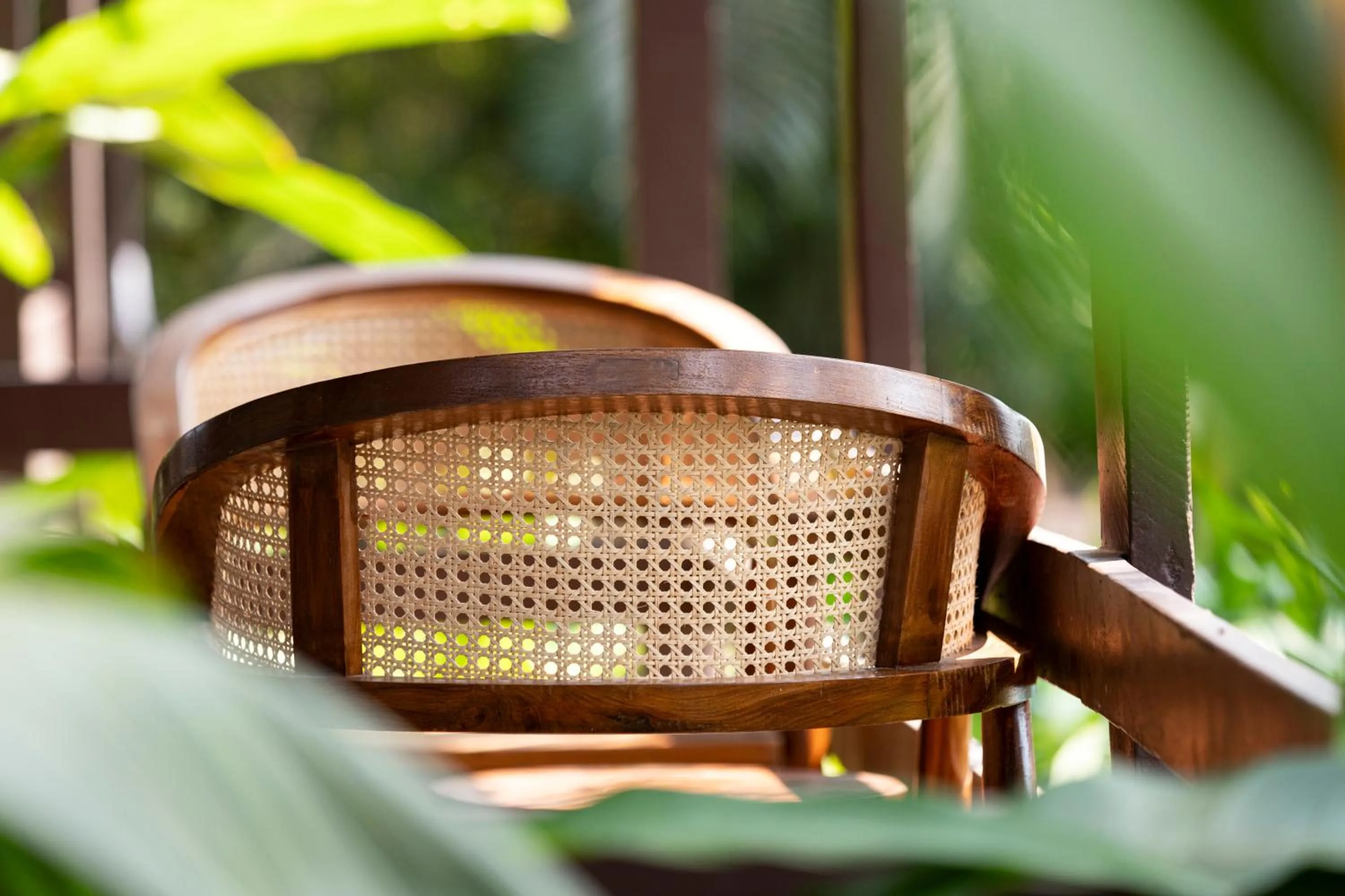 Garden in Riva Beach Resort