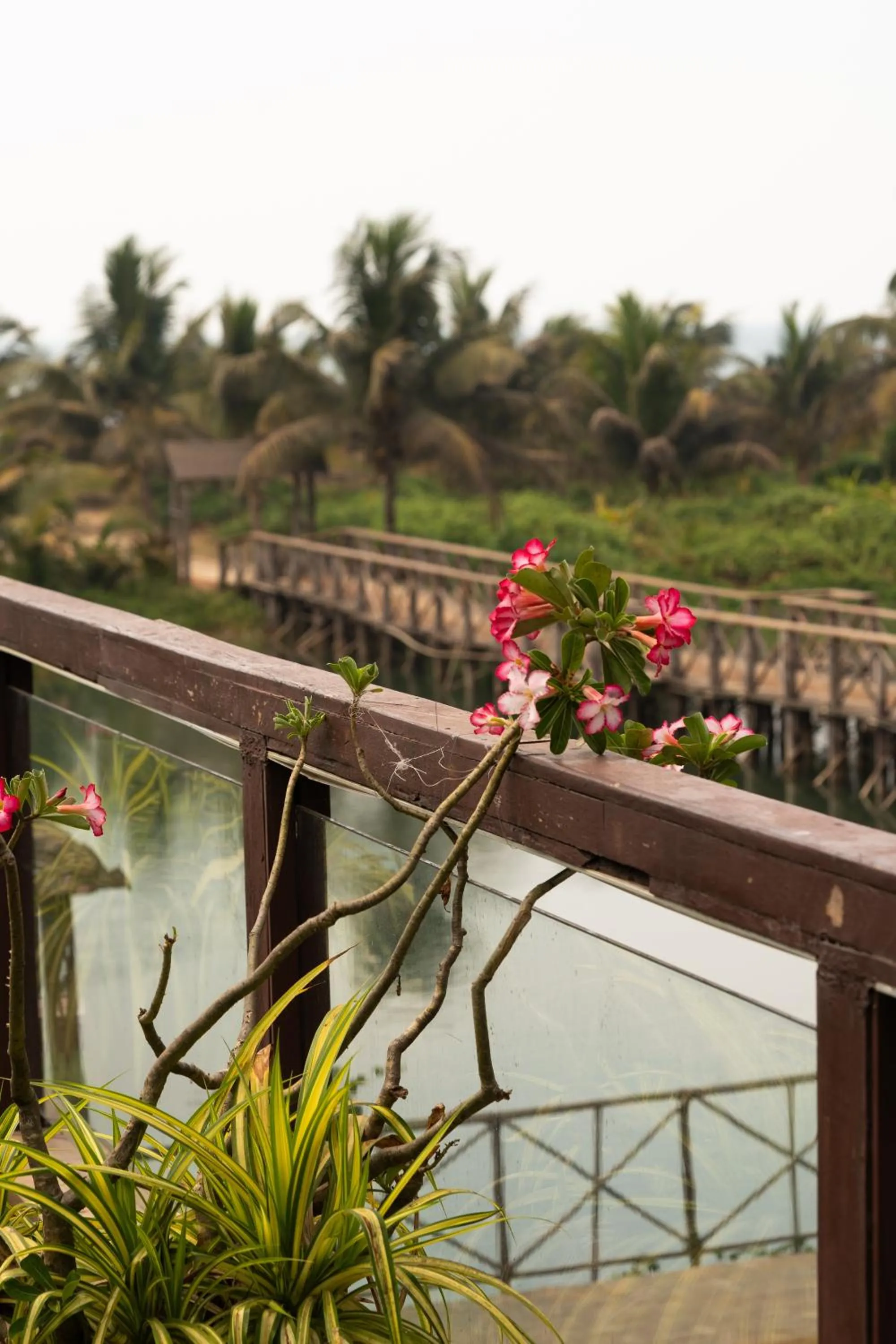 River view in Riva Beach Resort