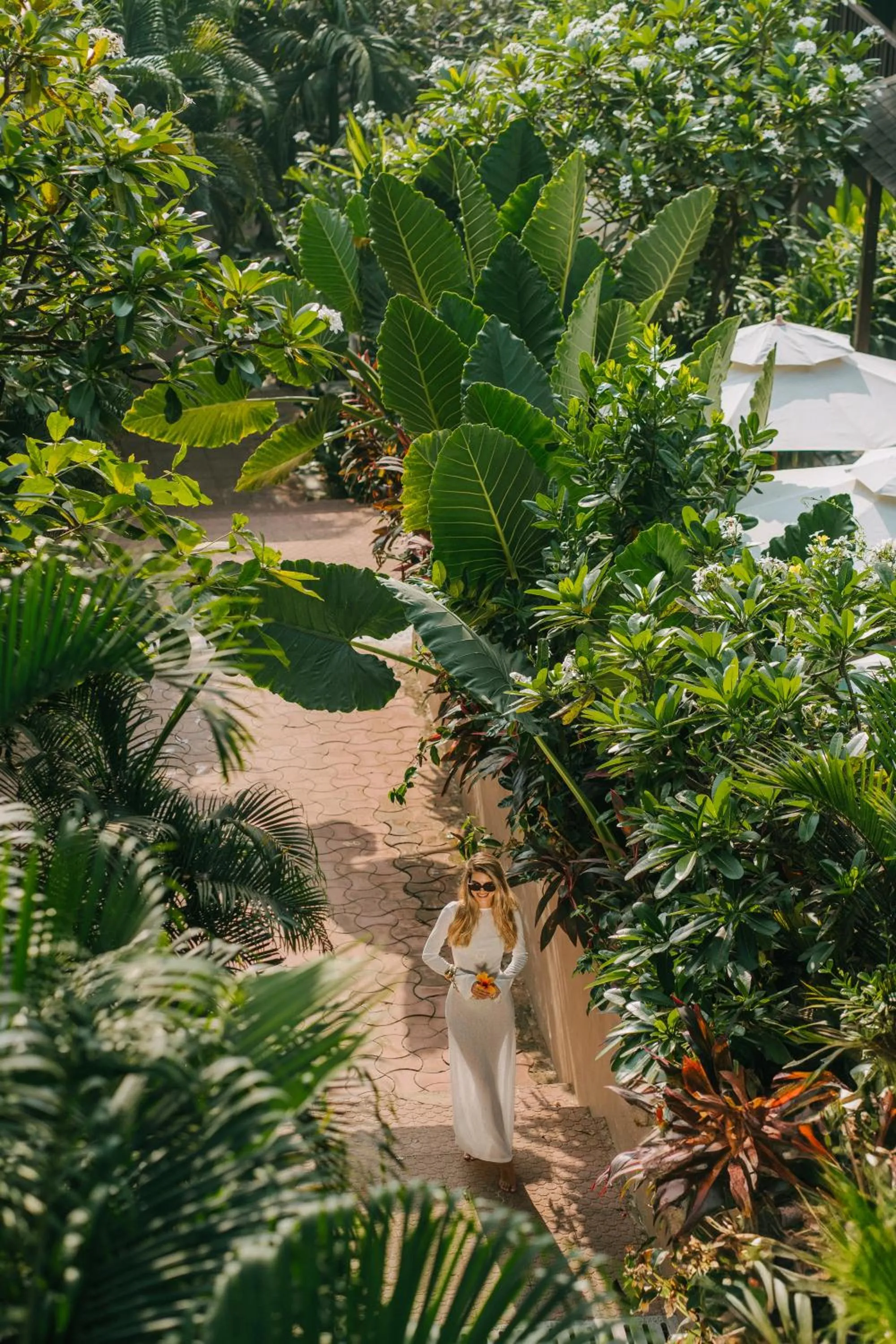 Natural landscape in Riva Beach Resort