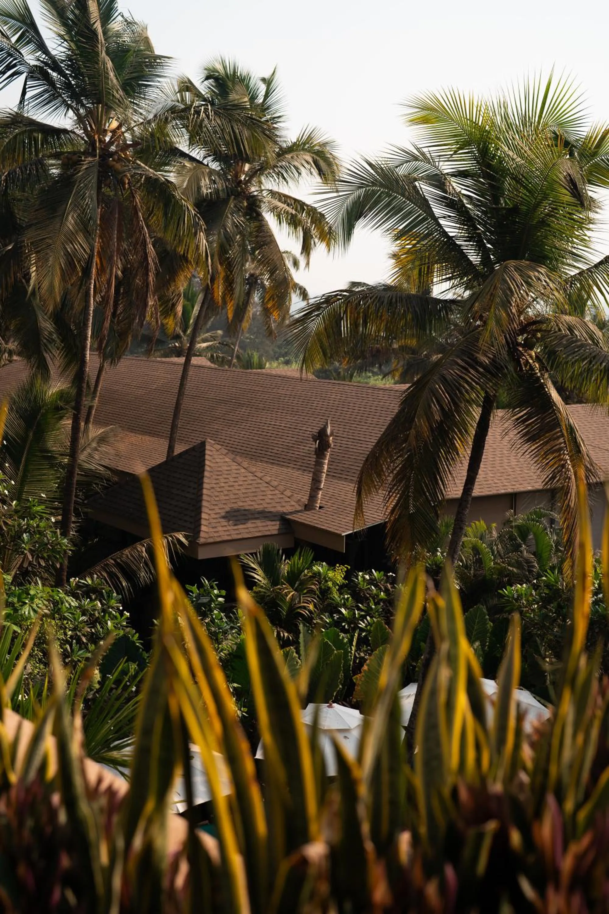 Garden view in Riva Beach Resort