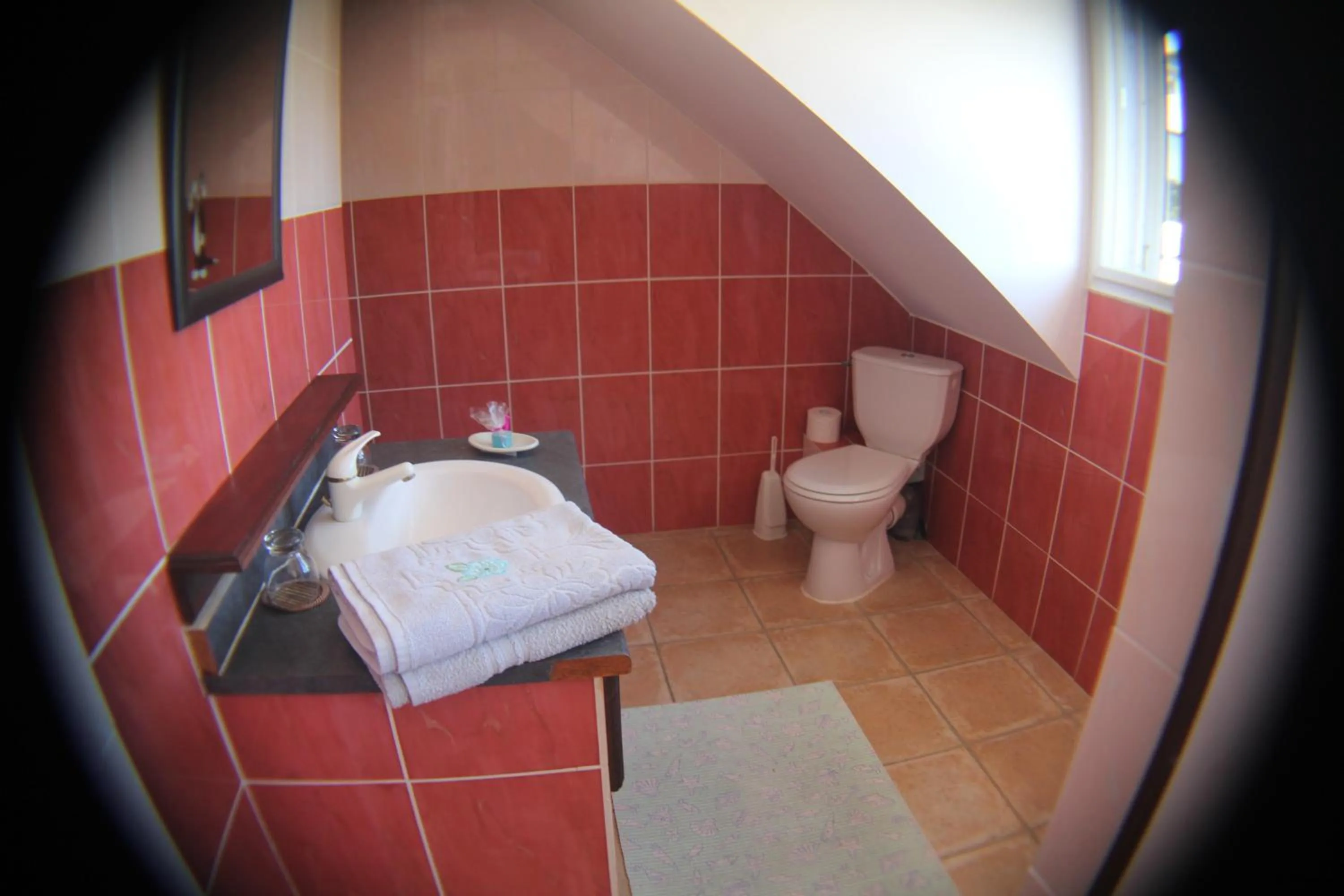 Domaine des Oiseaux Réunion