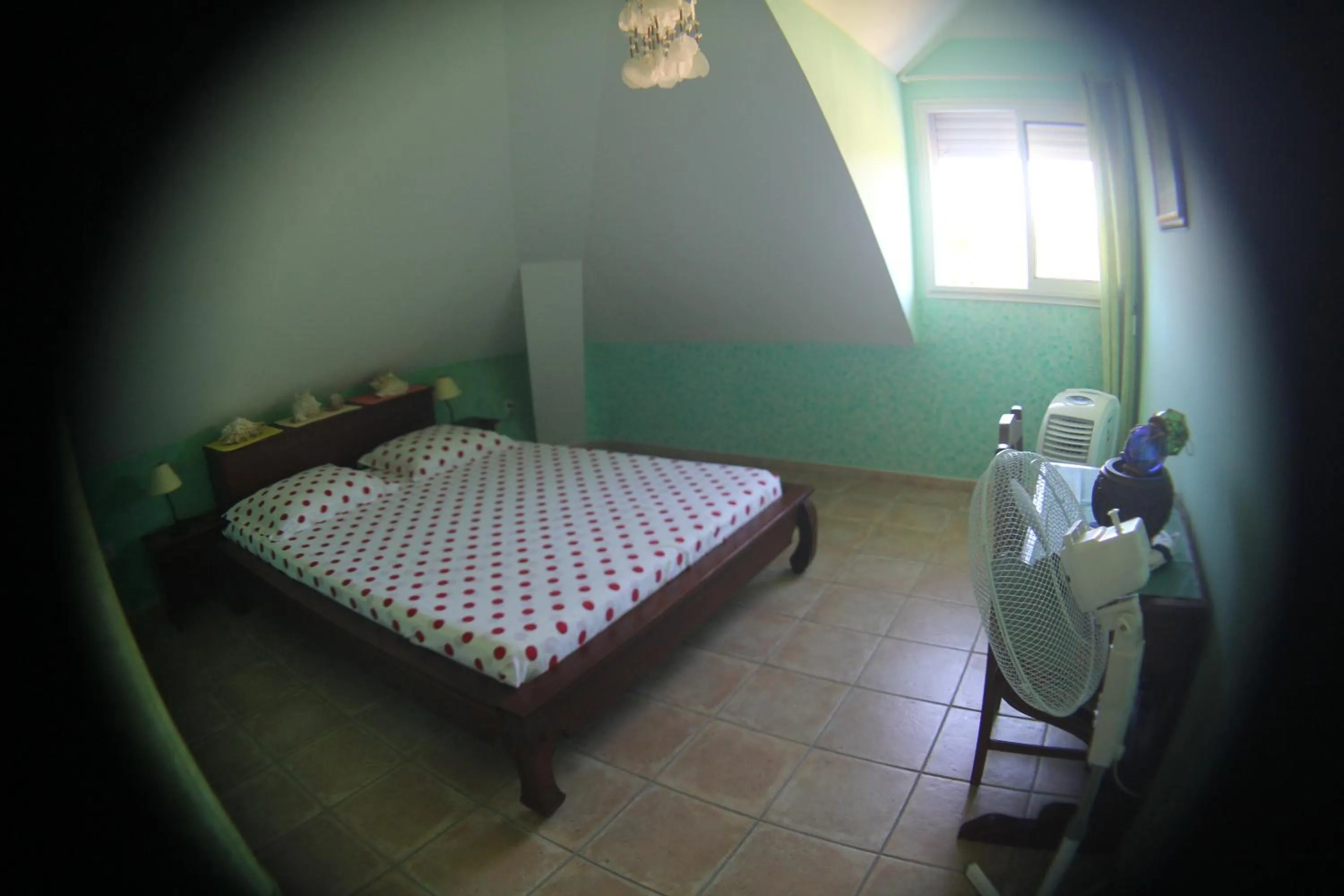 Domaine des Oiseaux Réunion