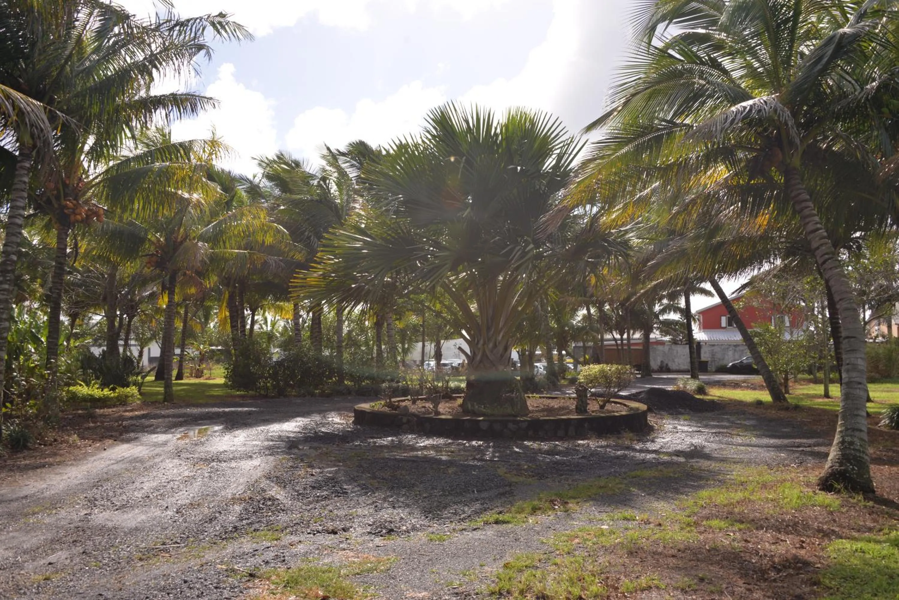 Domaine des Oiseaux Réunion