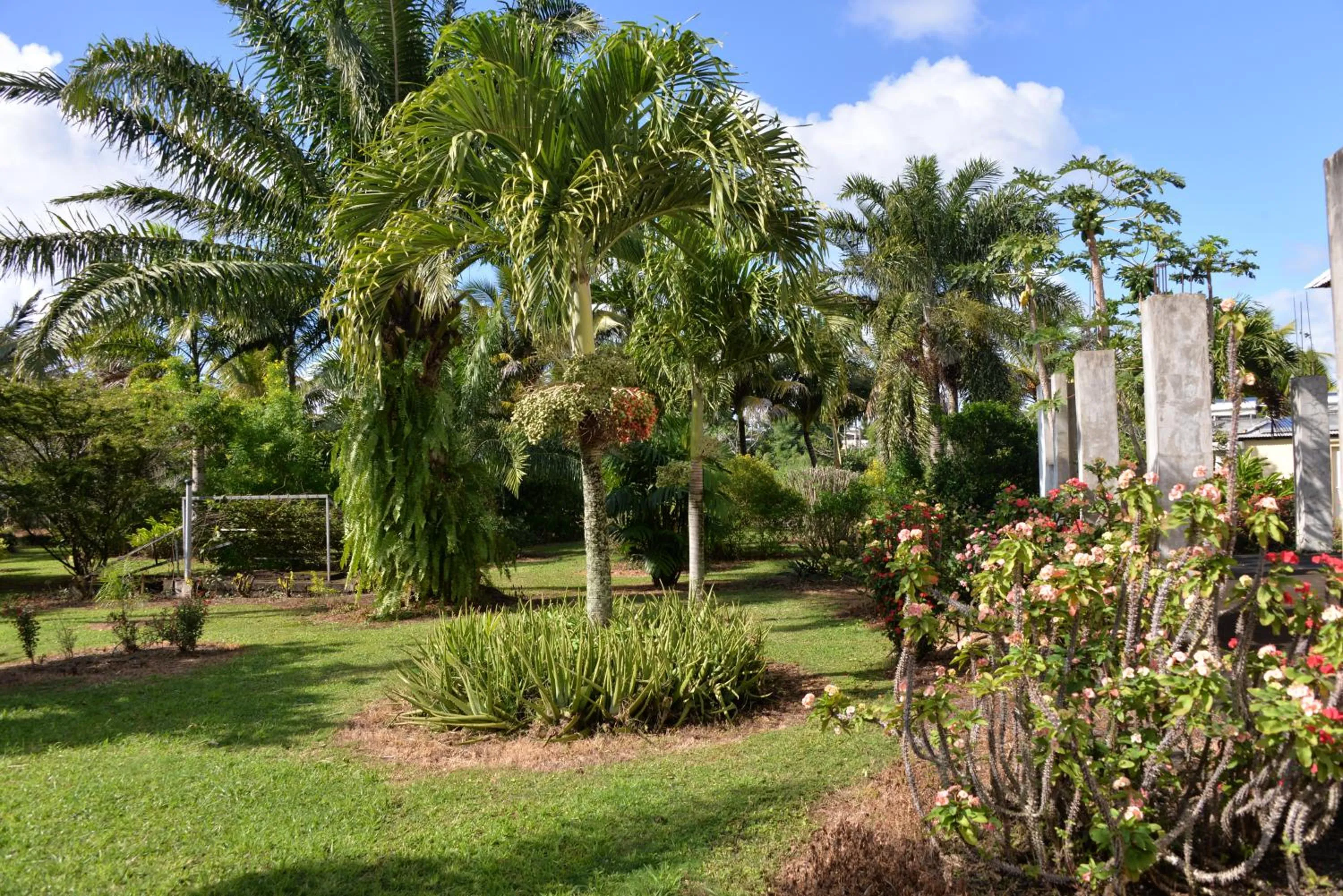Domaine des Oiseaux Réunion