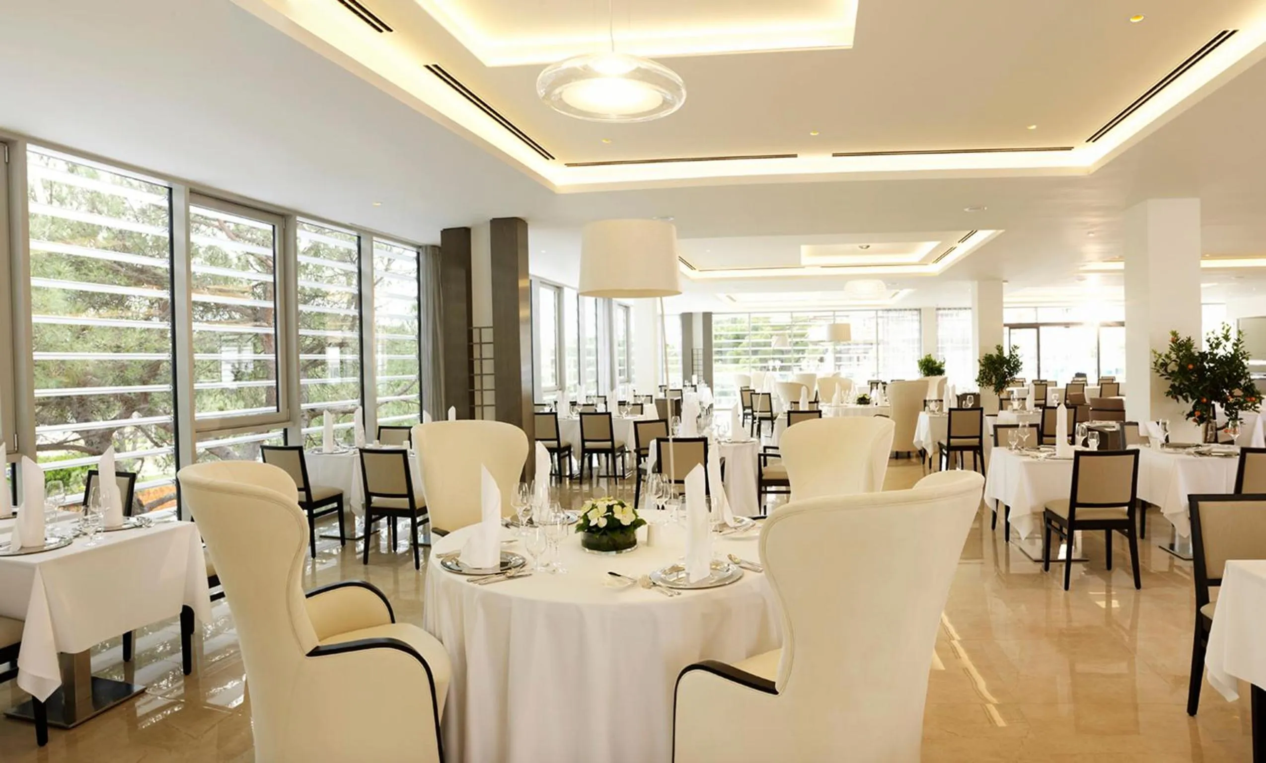 Restaurant/places to eat in Hotel Slovenija - Terme & Wellness LifeClass