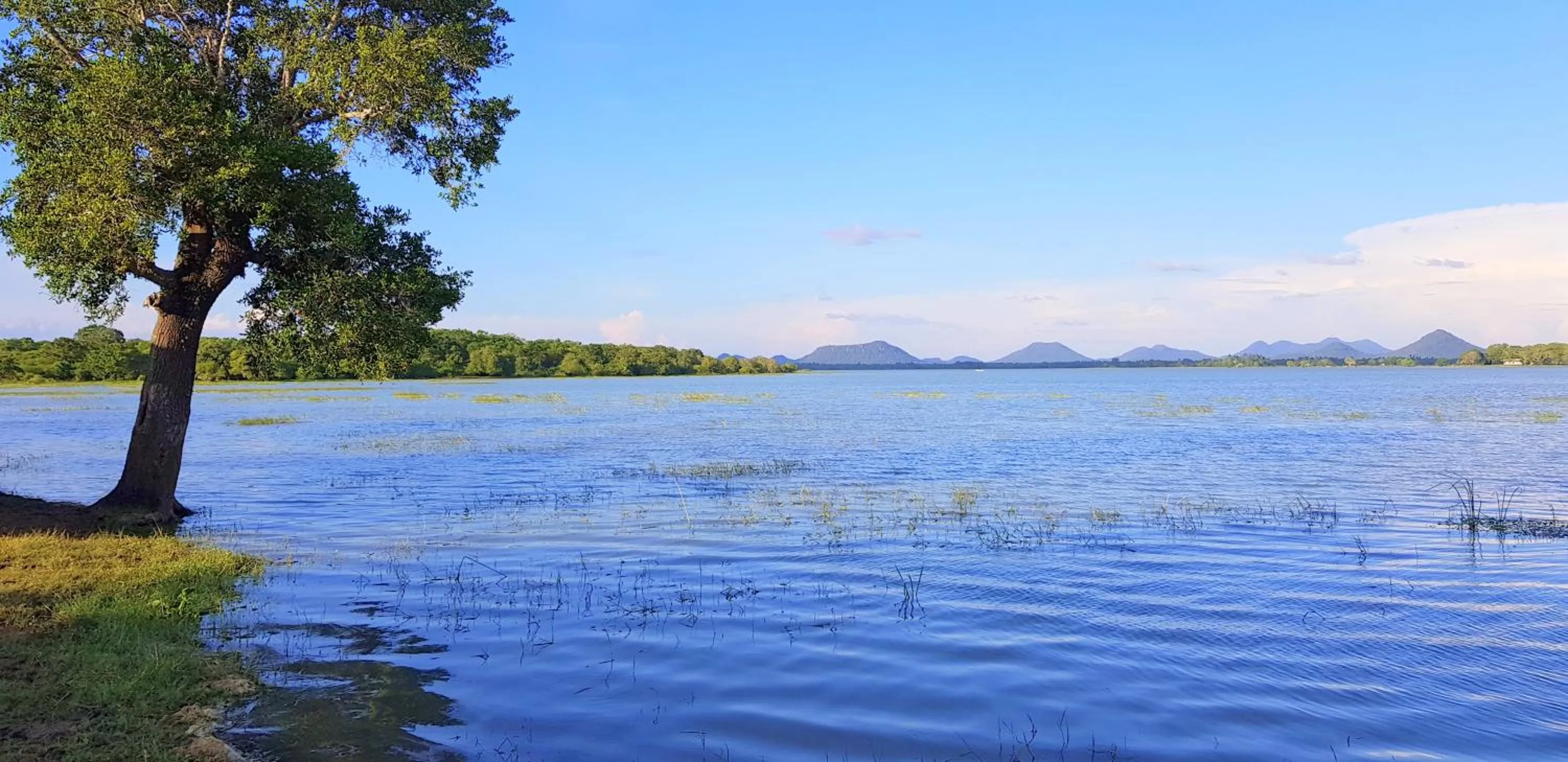 Lake view in Flower Garden Lake Resort