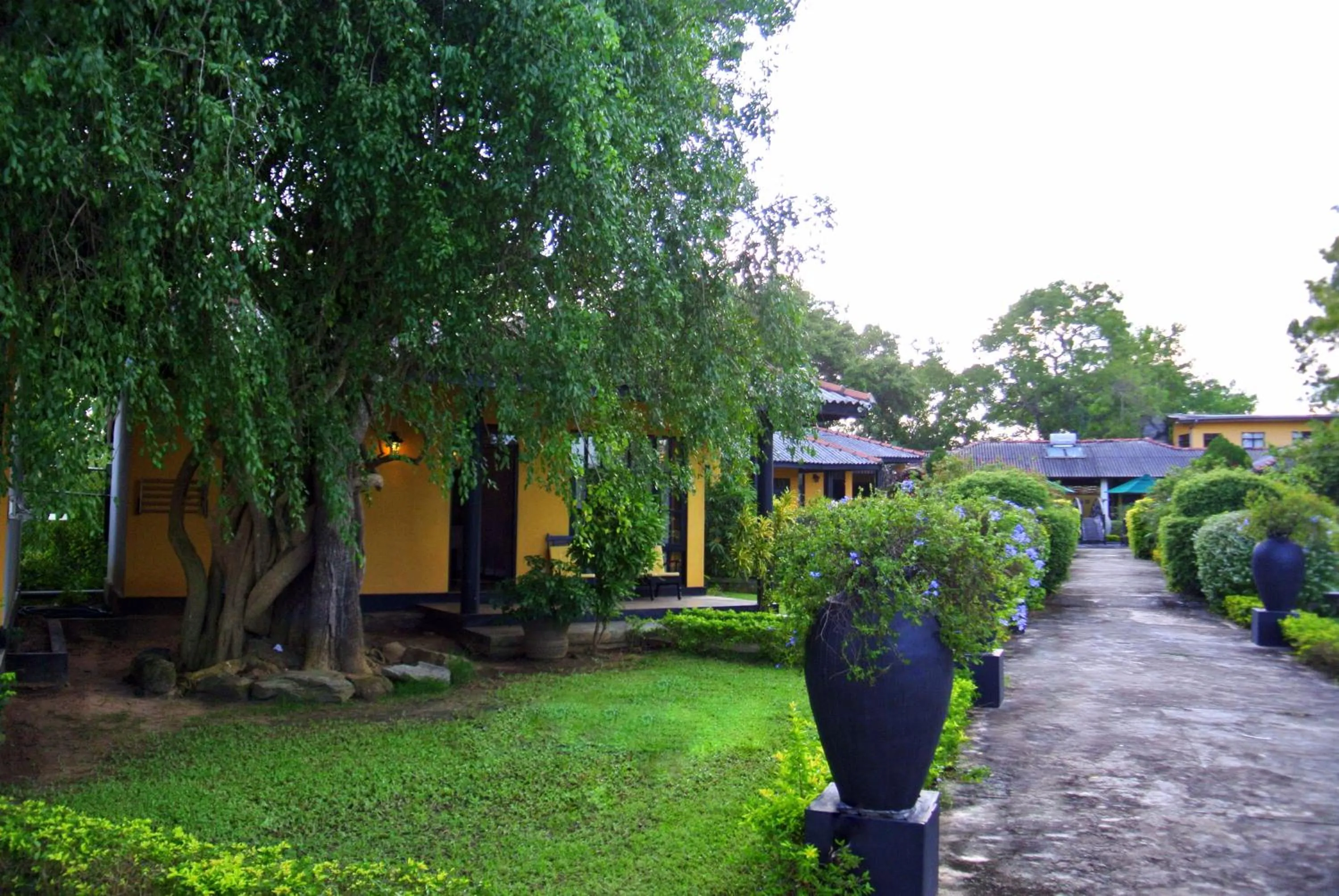 Garden in Flower Garden Lake Resort