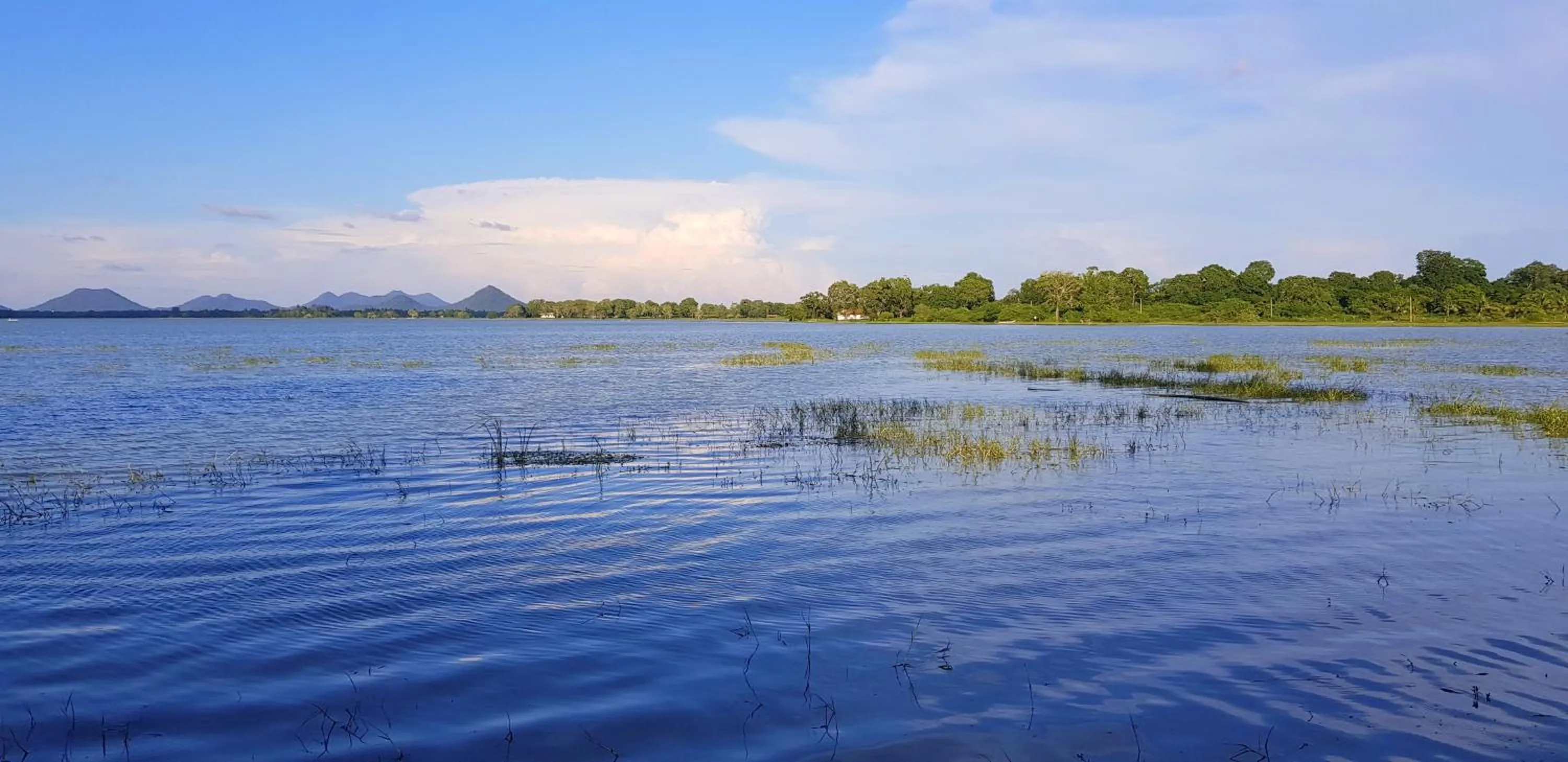 Lake view in Flower Garden Lake Resort