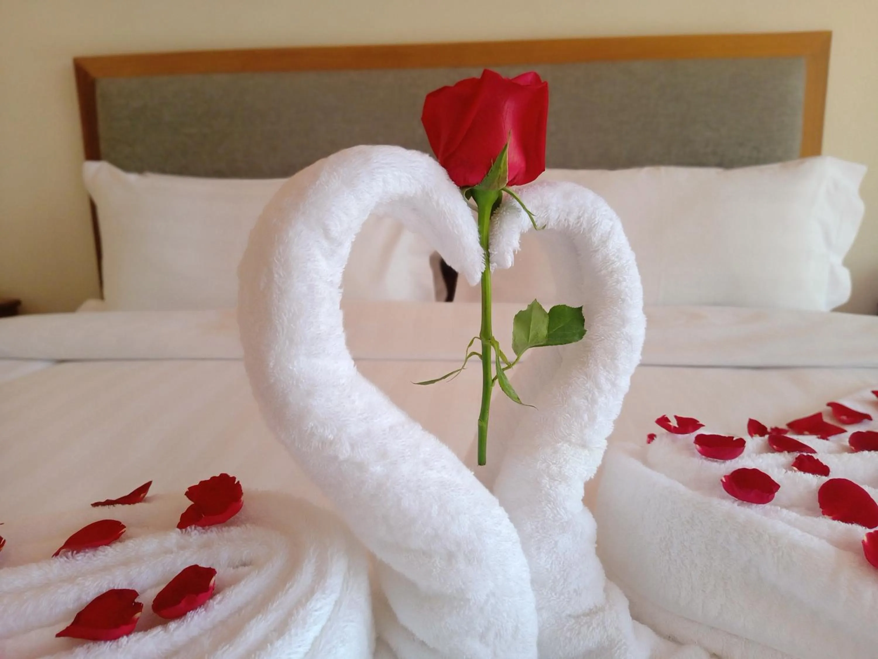 Bed in Dragon Phoenix Hotel