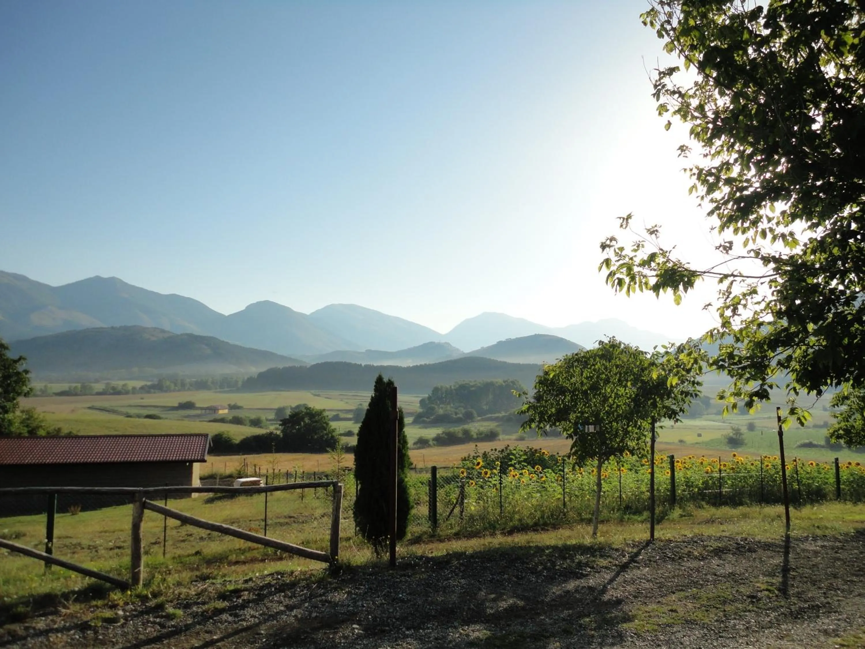 Other in Green House