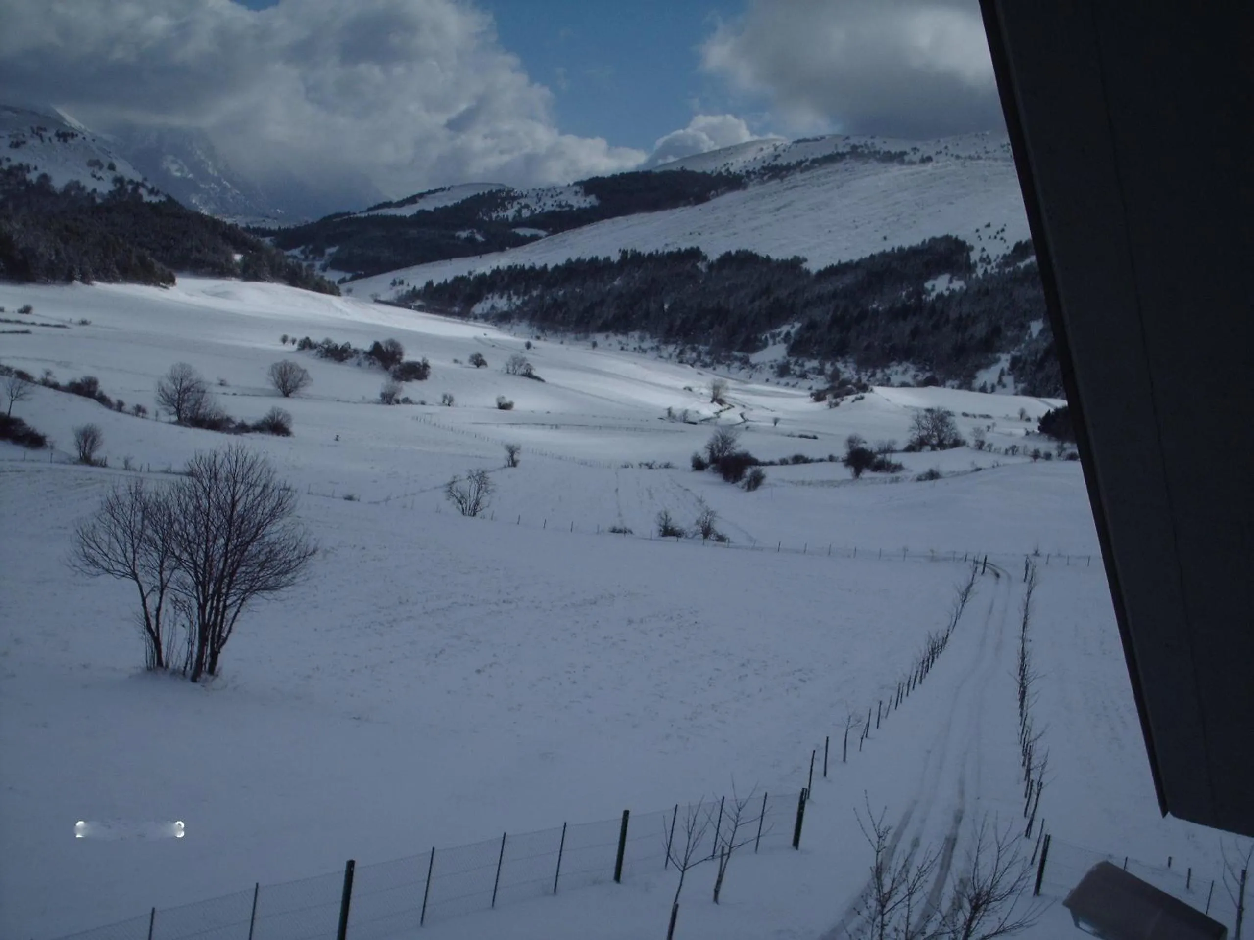 Other in Green House