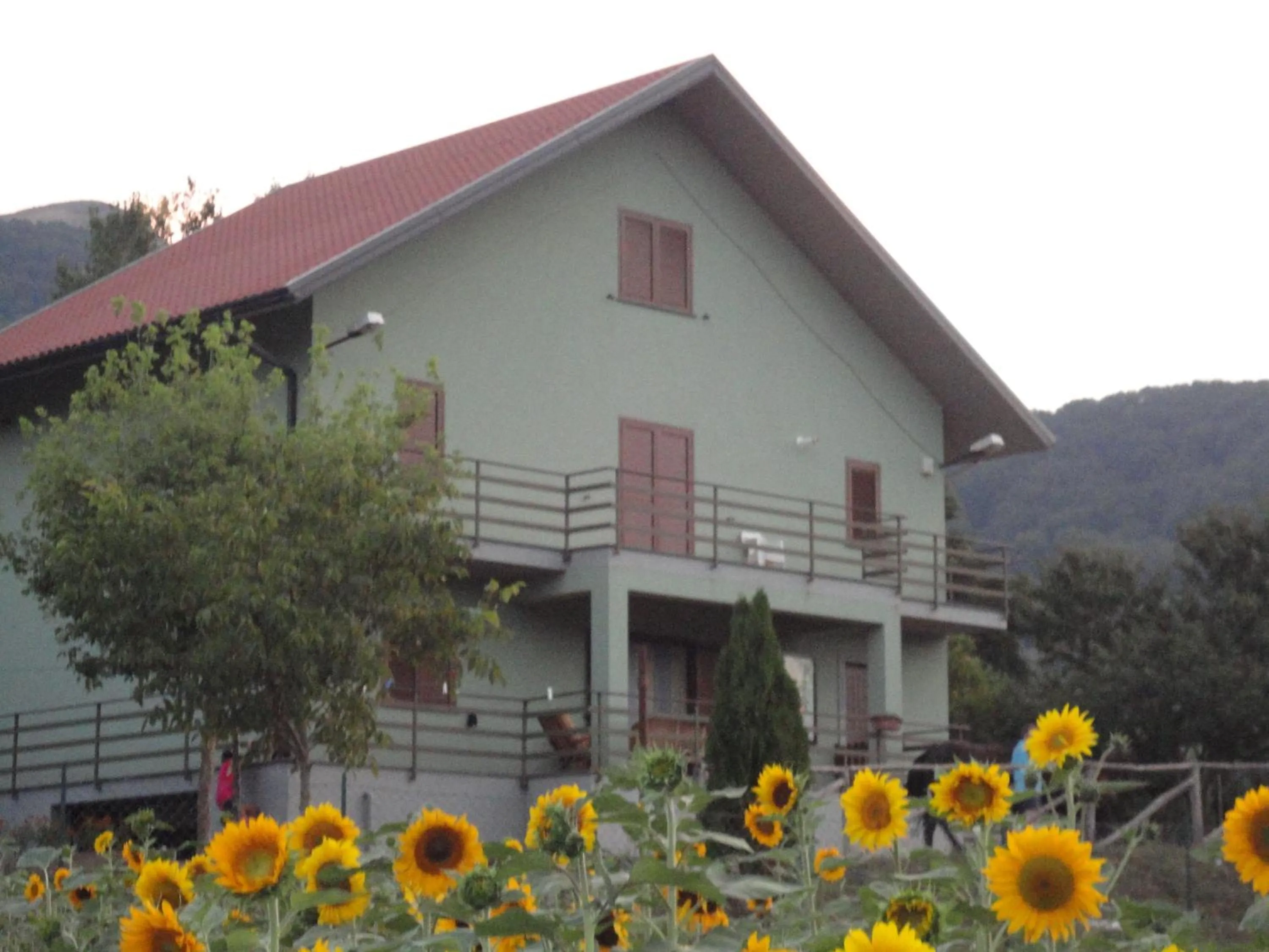 Facade/entrance in Green House