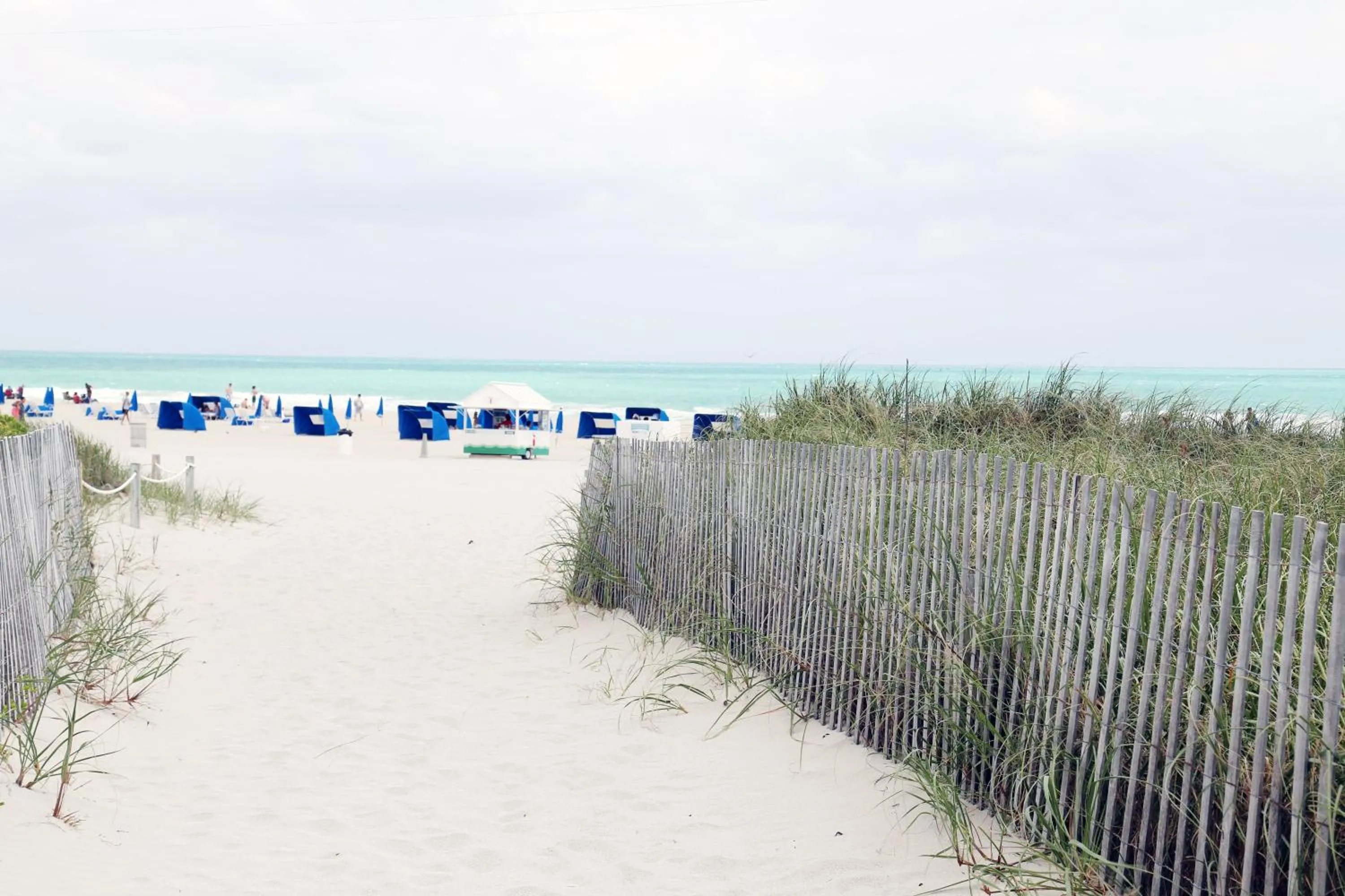 Beach in Cavalier South Beach Hotel