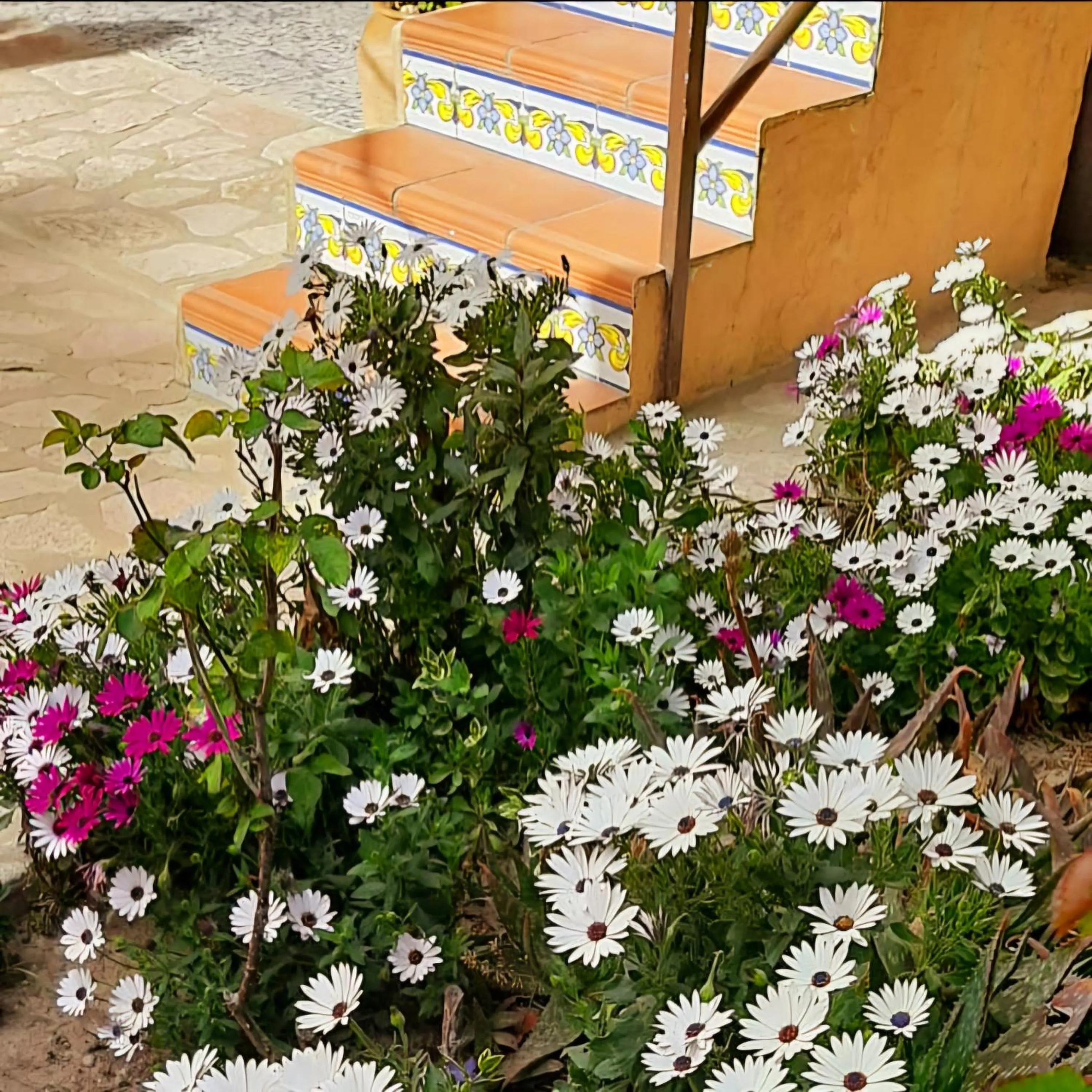 Garden in B&B Casa Josa