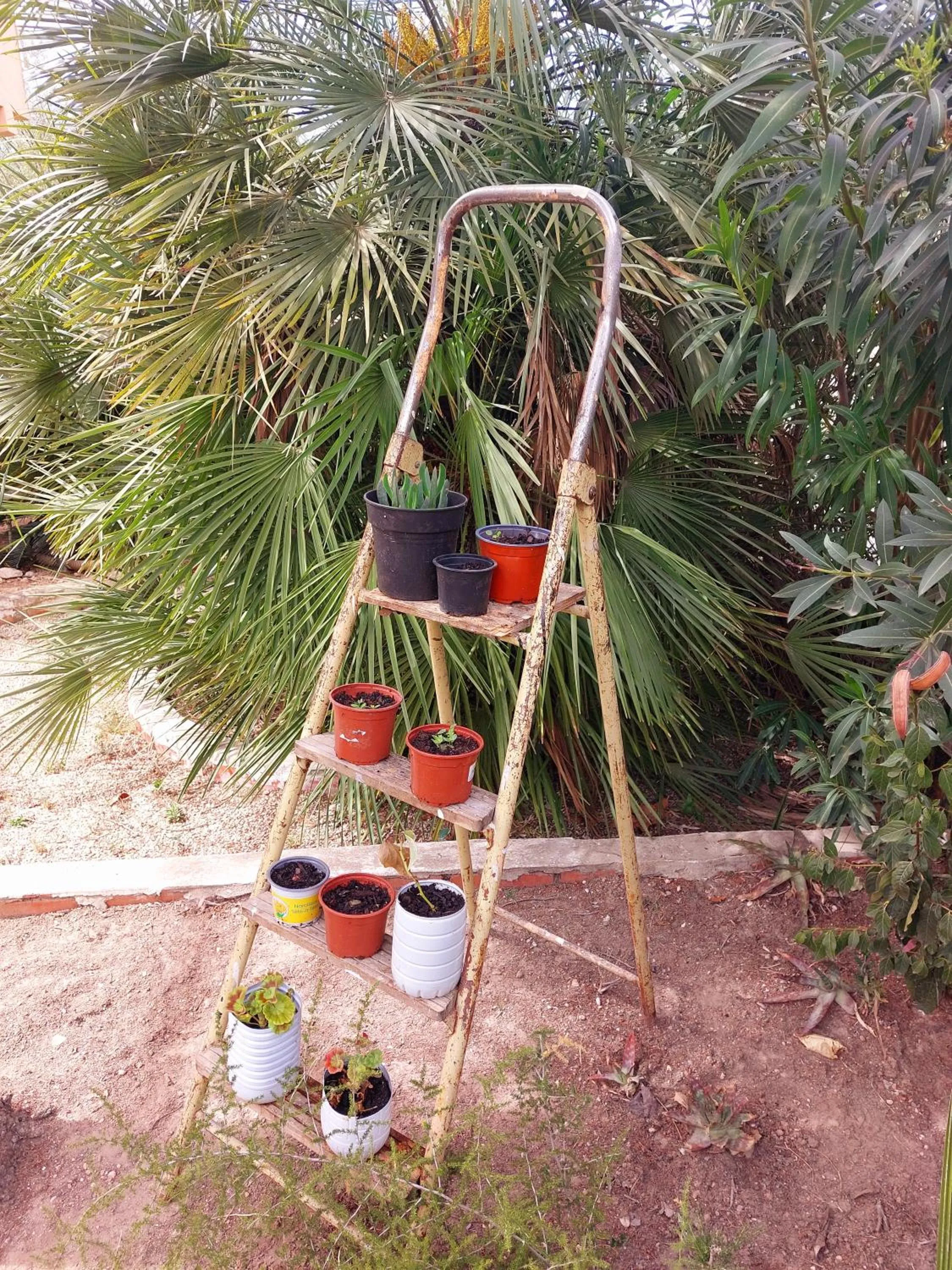 Garden in B&B Casa Josa