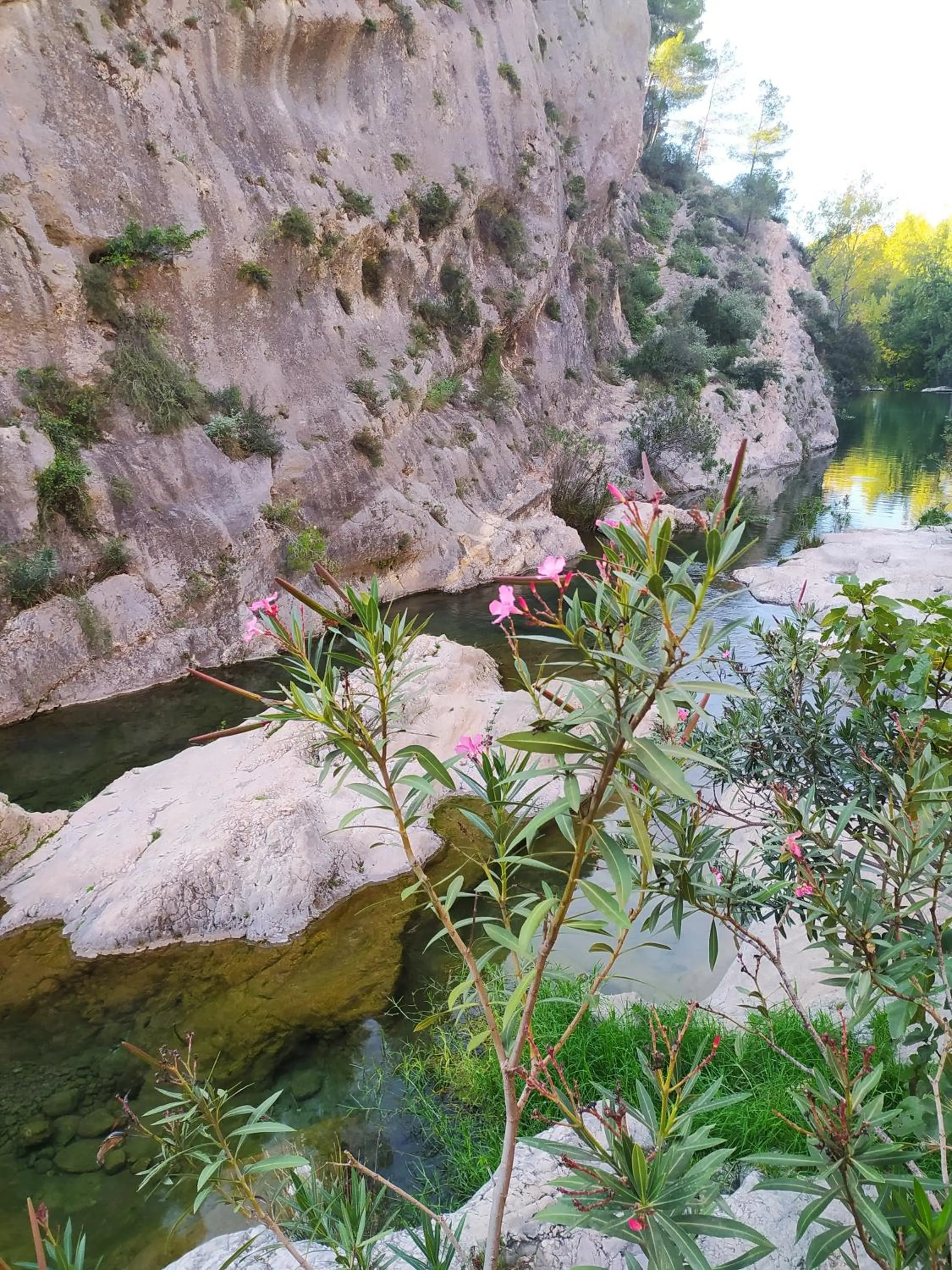 Natural landscape in B&B Casa Josa