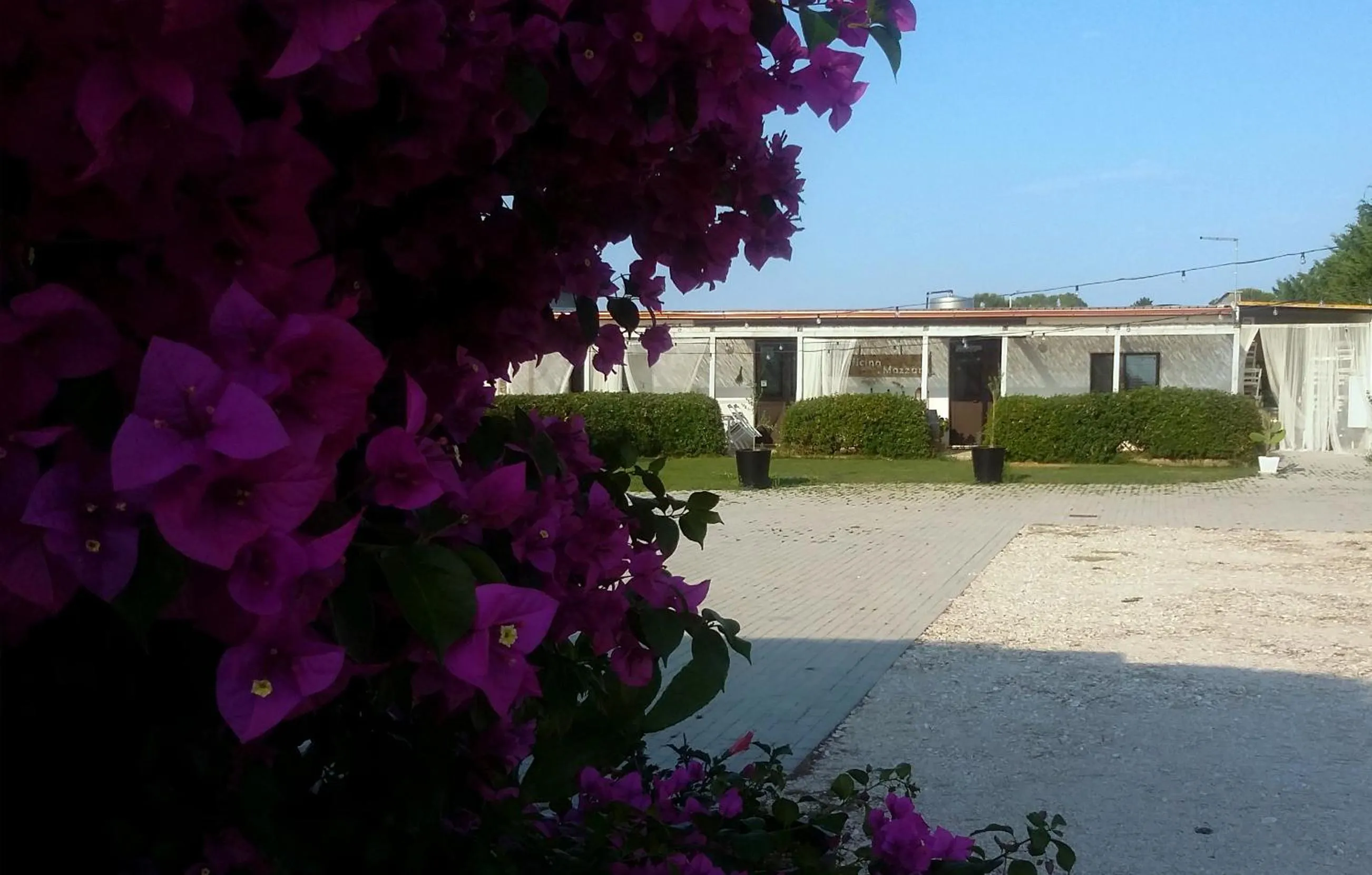 On site in Mazzara Farm