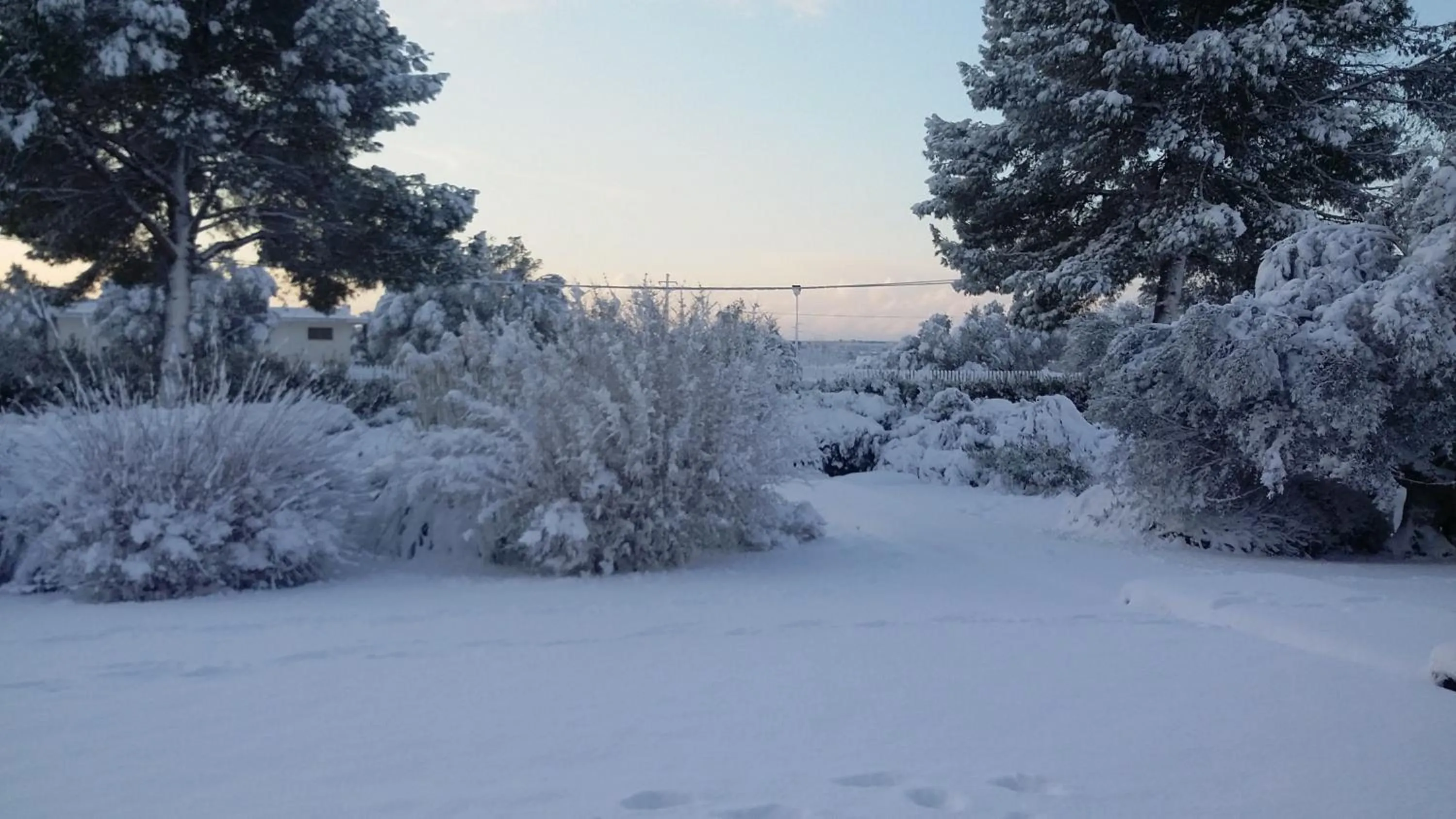 Garden in Mazzara Farm