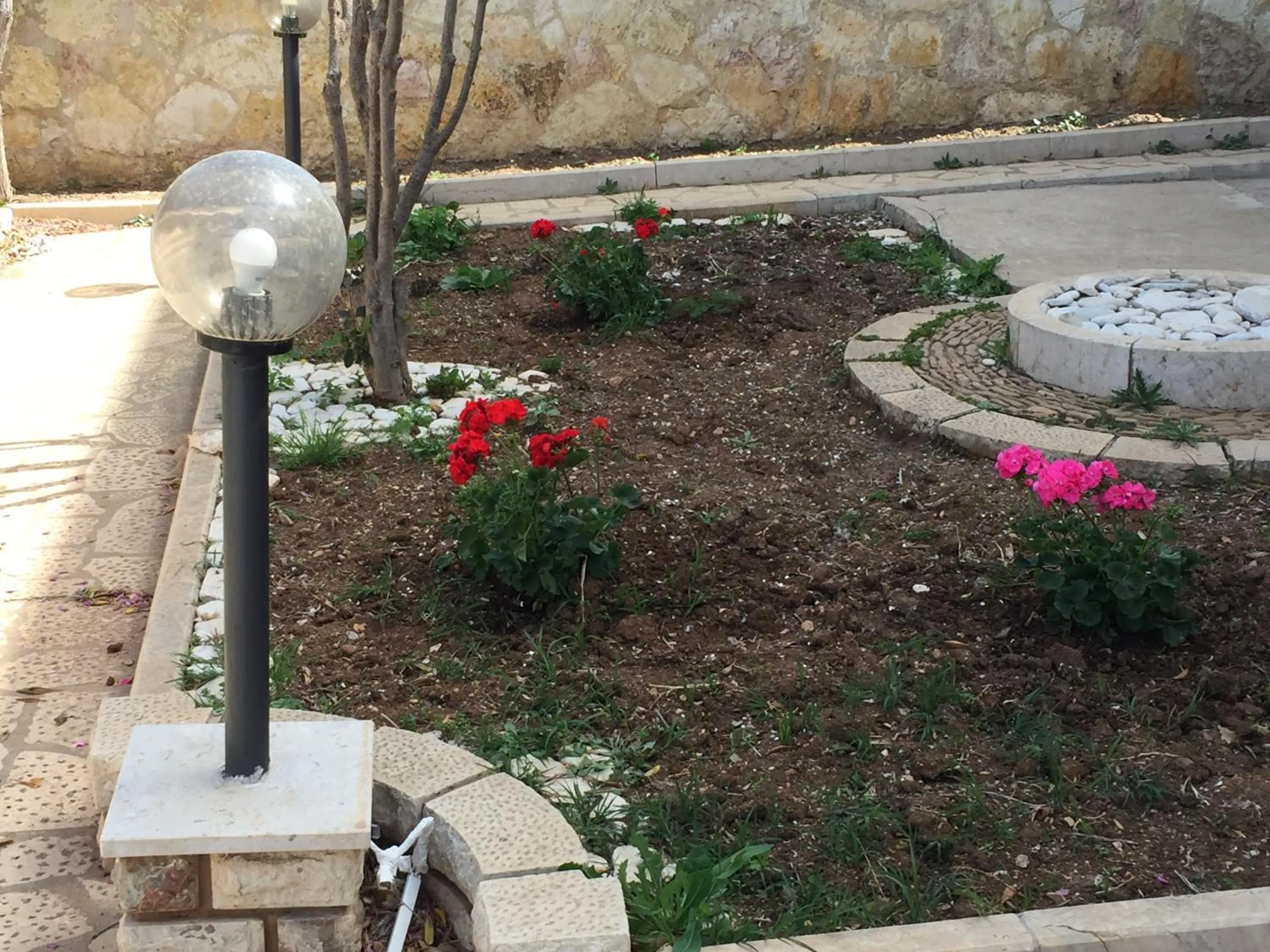 Garden in Orlando Vacanze Camere