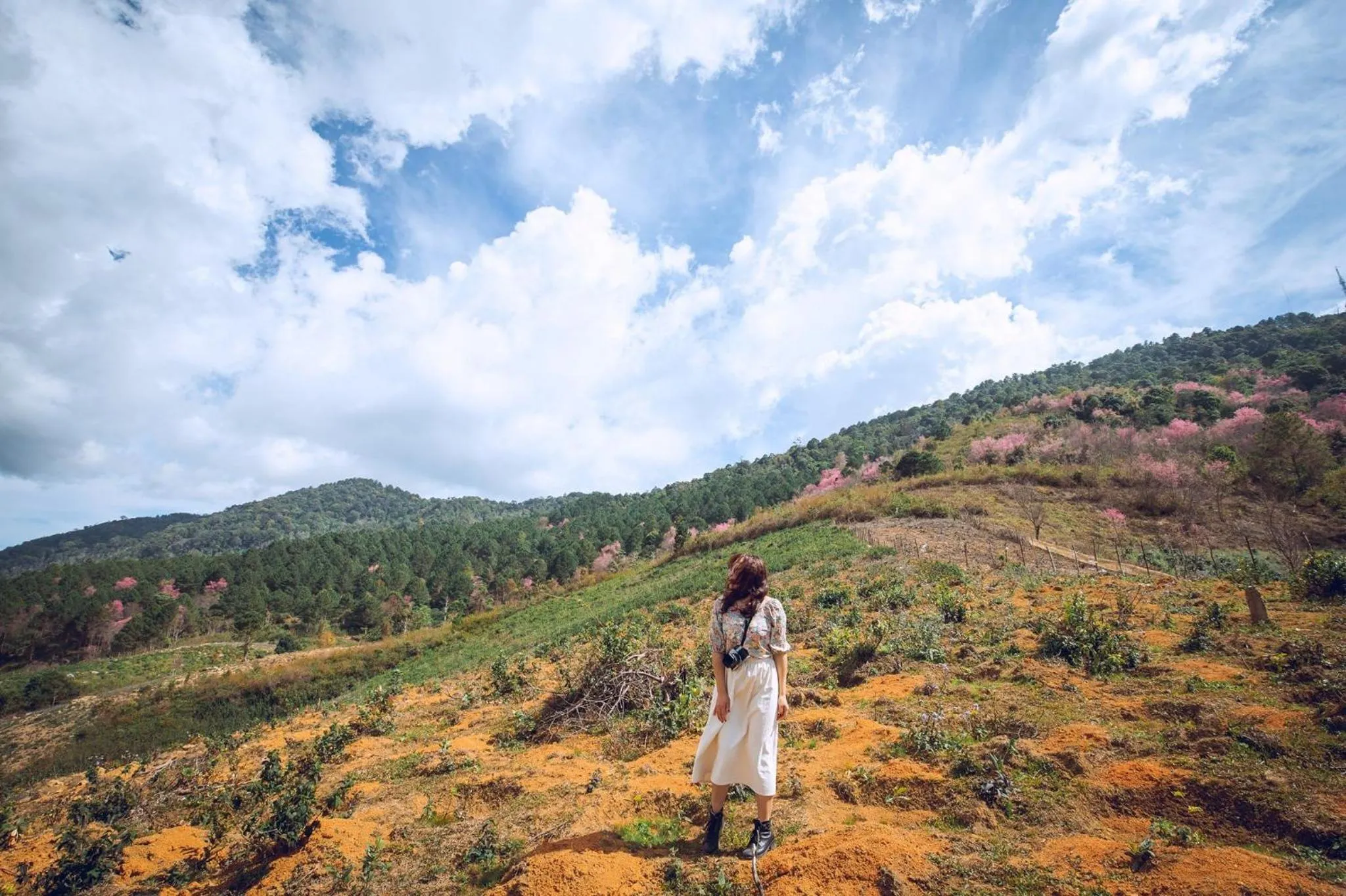Natural landscape in QA Hotel Dalat - City Centre