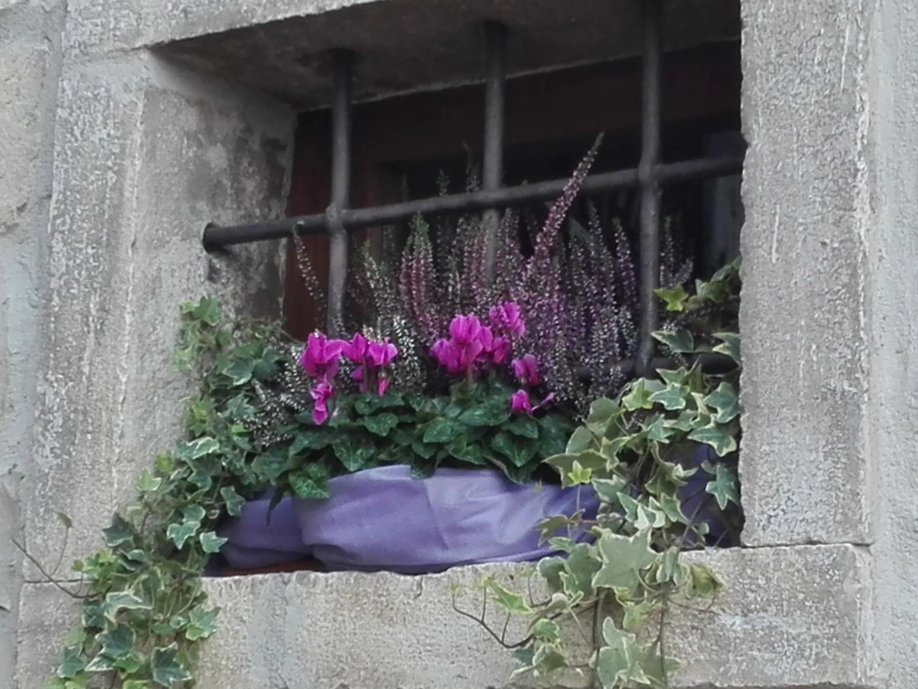 B&B Il Belvedere