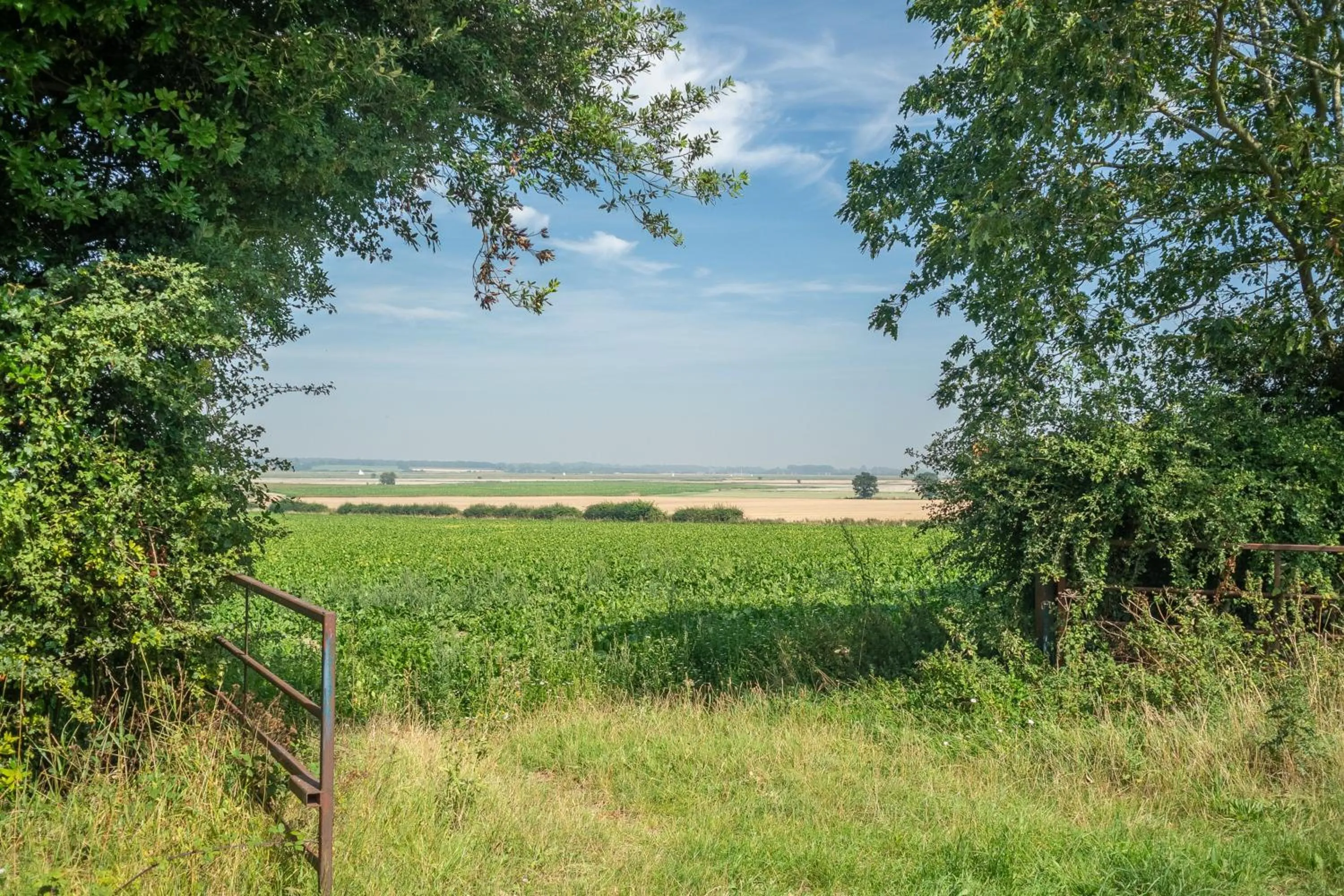Property building in Honeypot Cottage