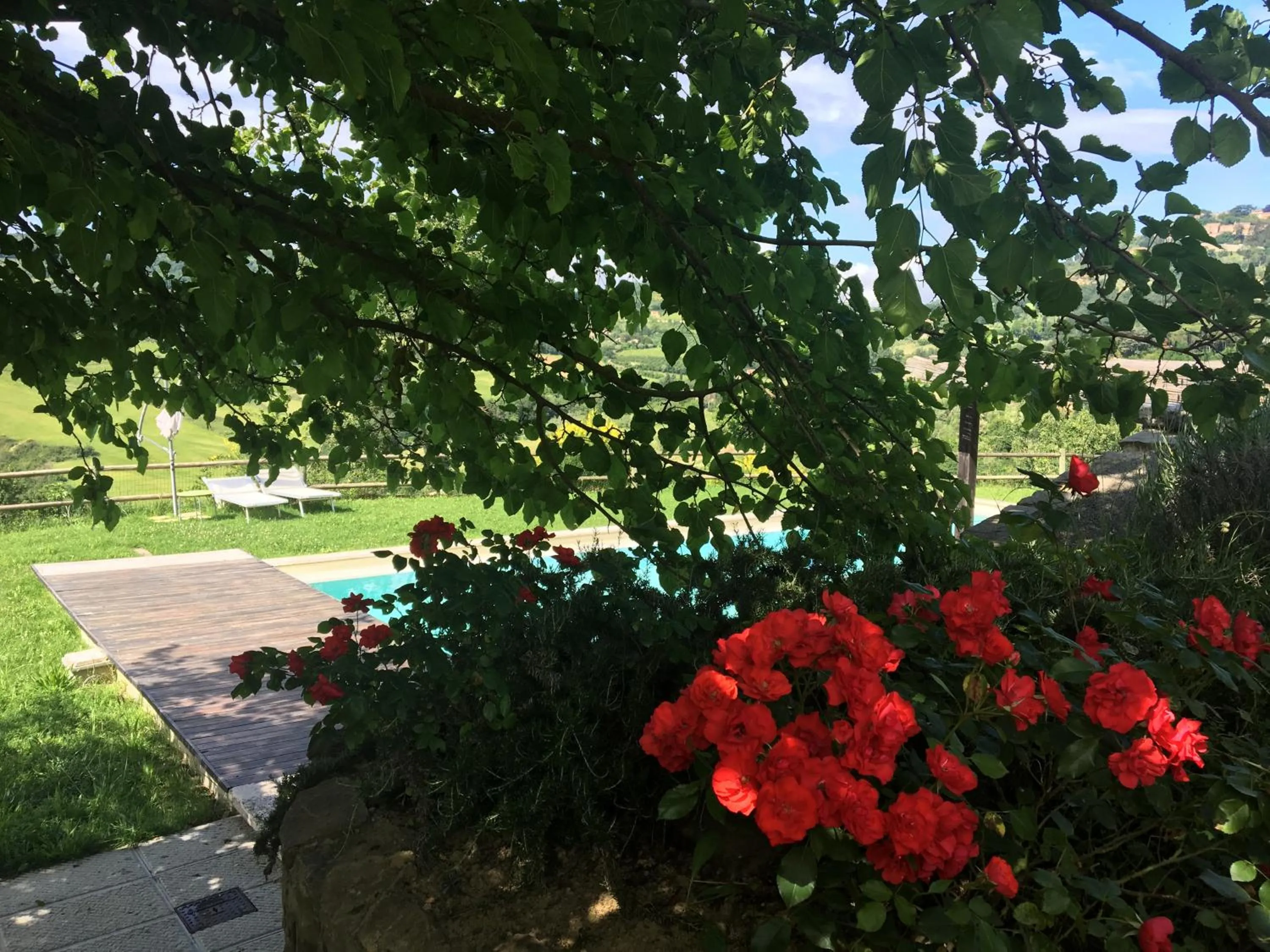 Patio in Godiolo