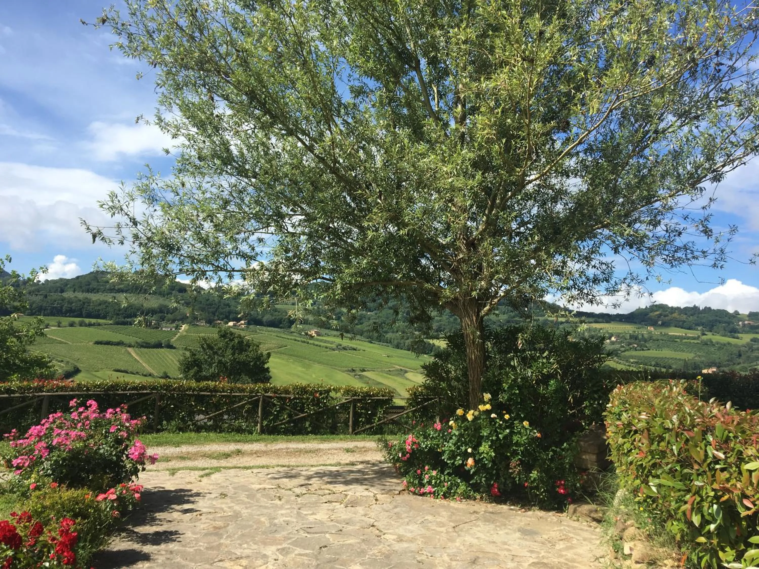 City view in Godiolo