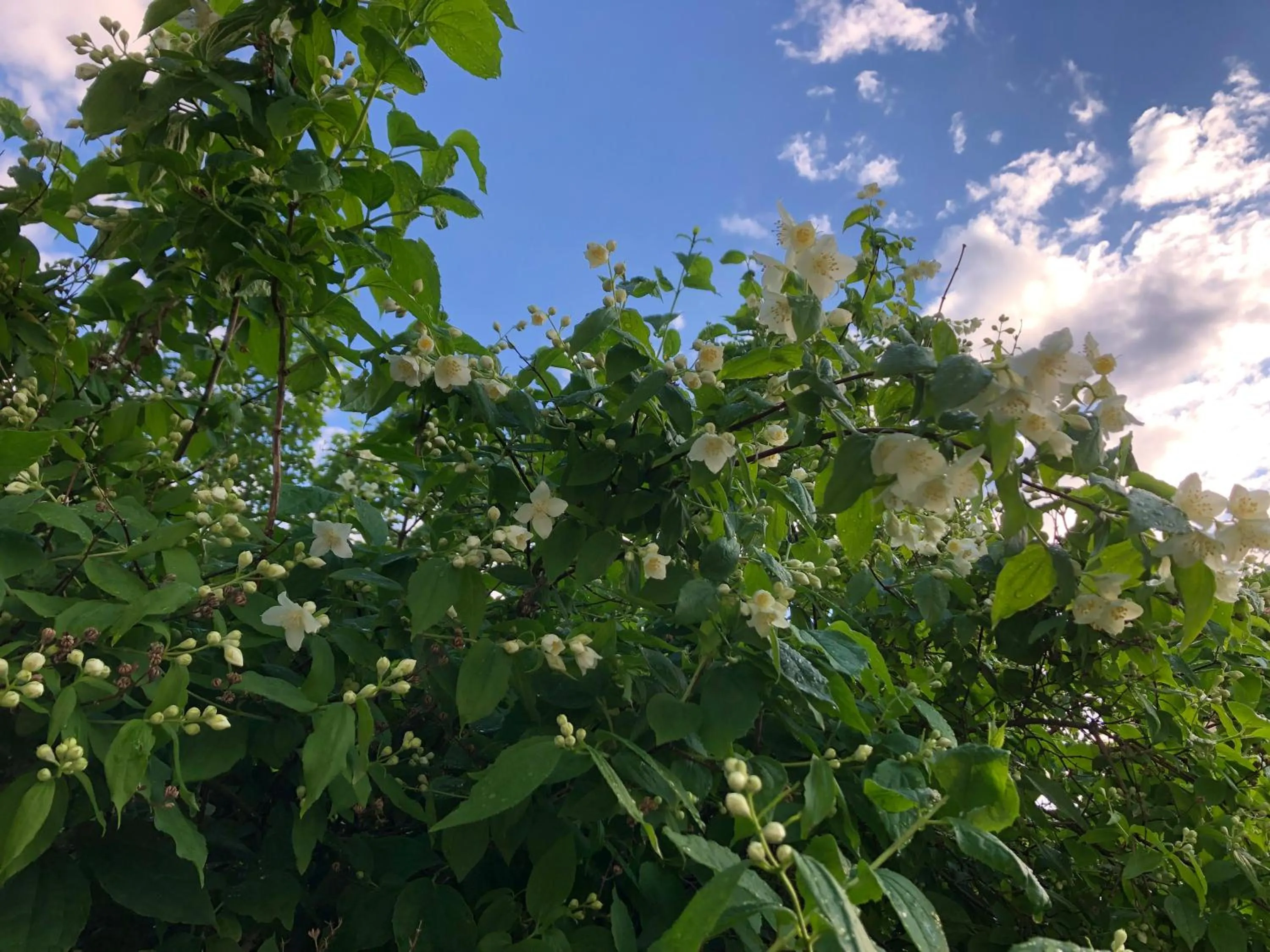 Strandgården Karlstad
