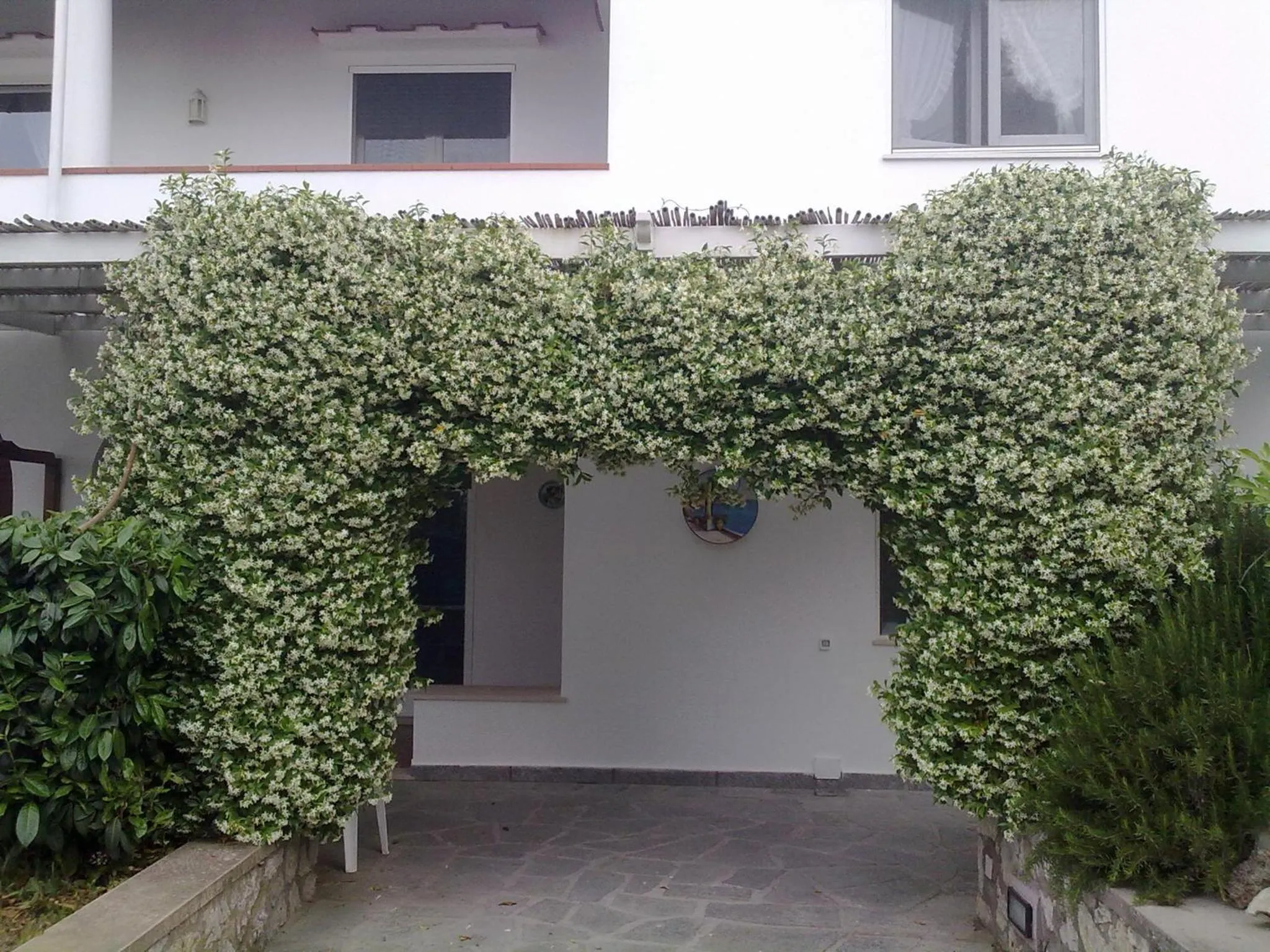 Facade/entrance in Il Merlo