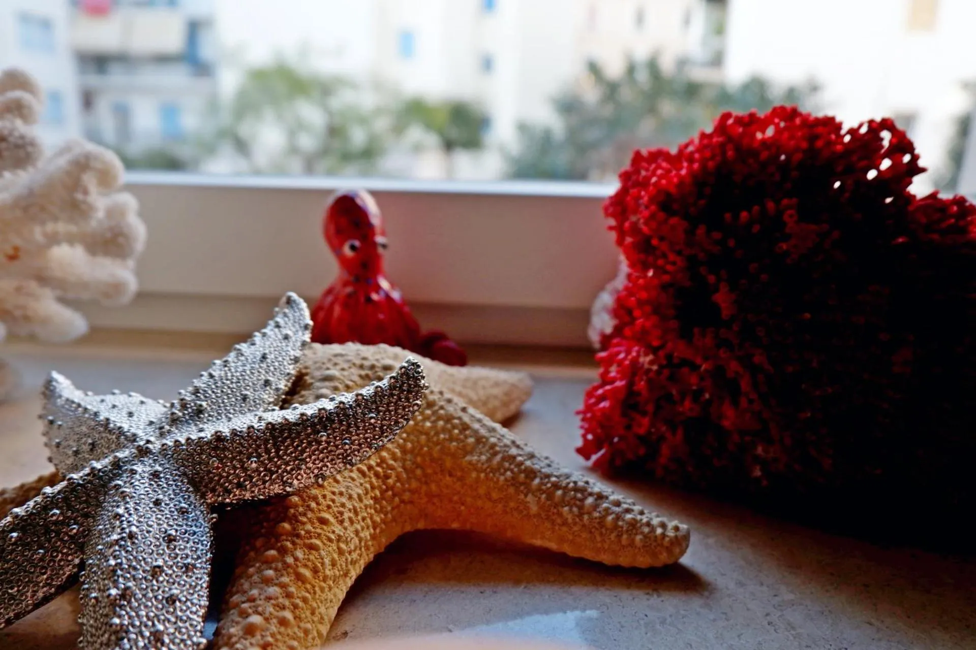 On site in Liddo Boutique hotel