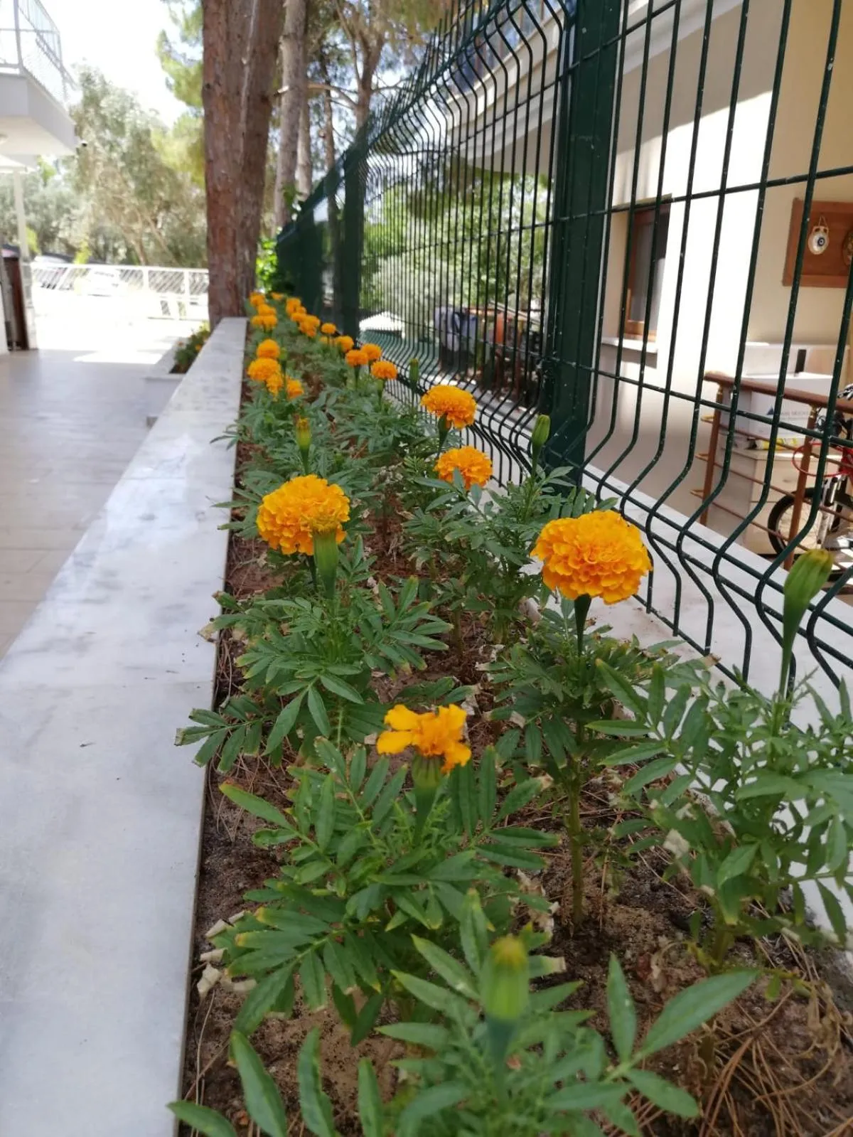 Day in ÇİÇEK APART OTEL