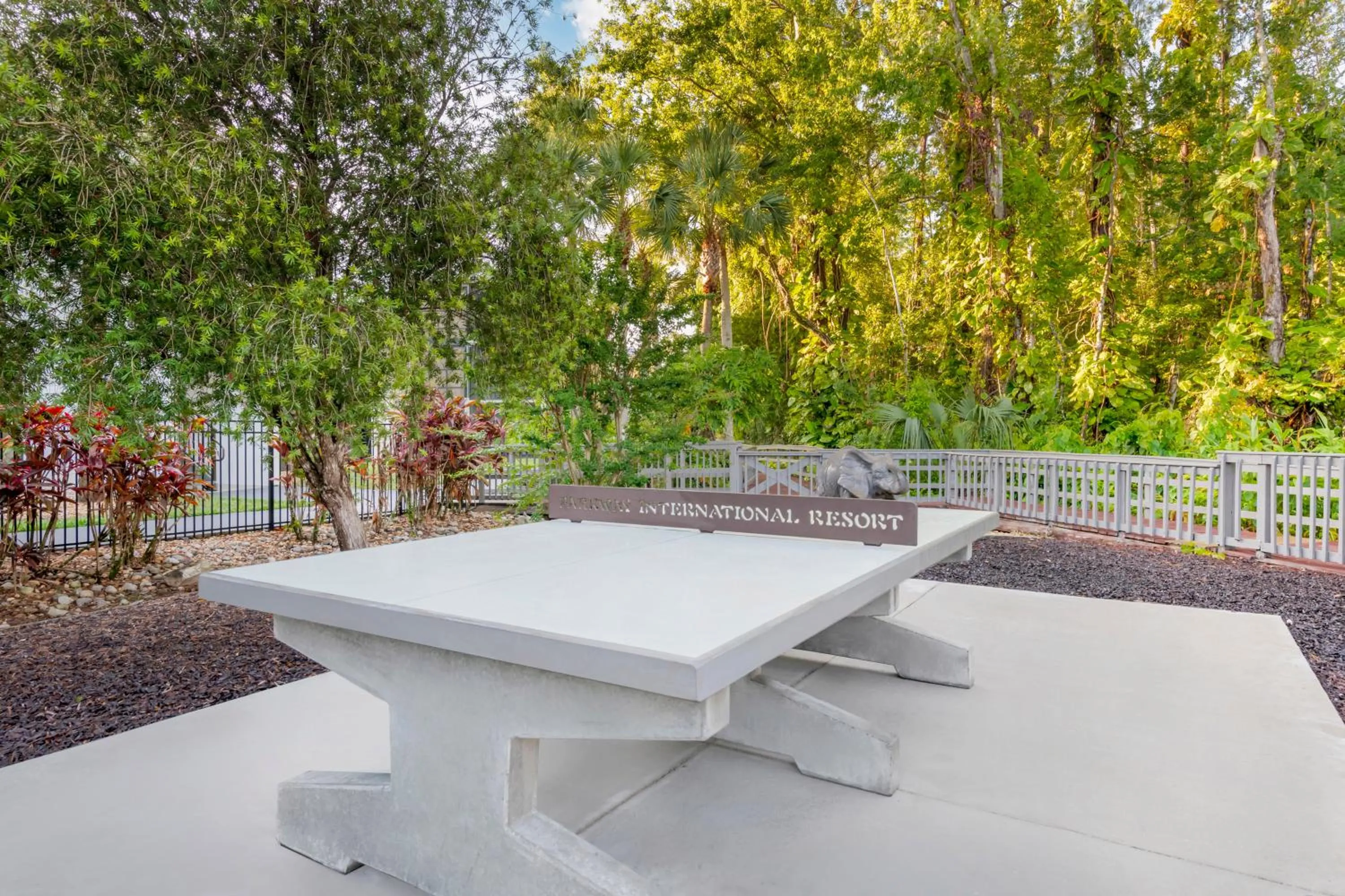 Table tennis in Parkway International Resort