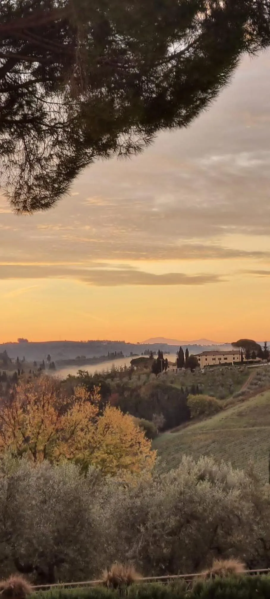 Landmark view in Tenuta Di Sticciano