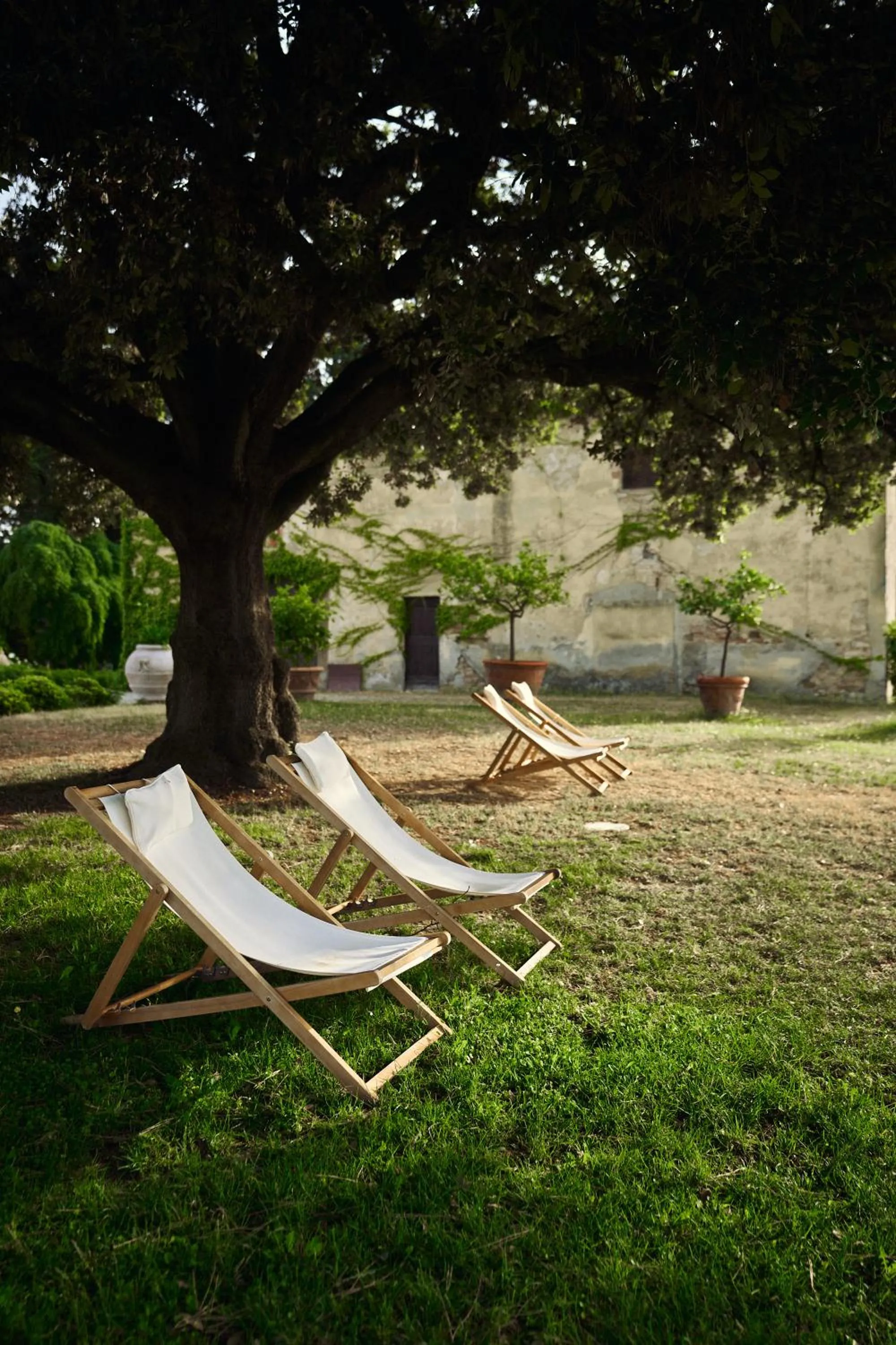Spring in Tenuta Di Sticciano