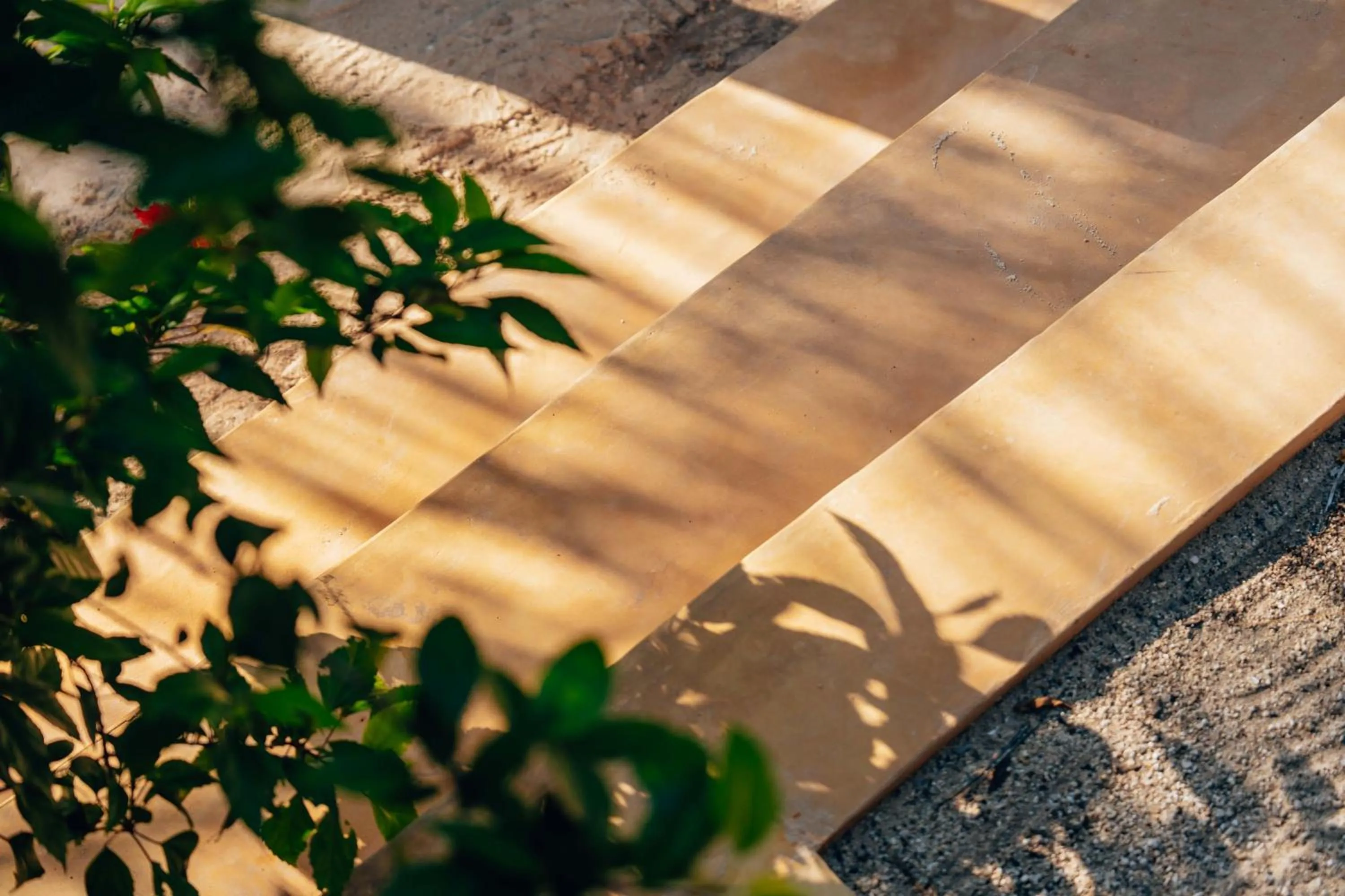 Garden in Hekaya Zanzibar