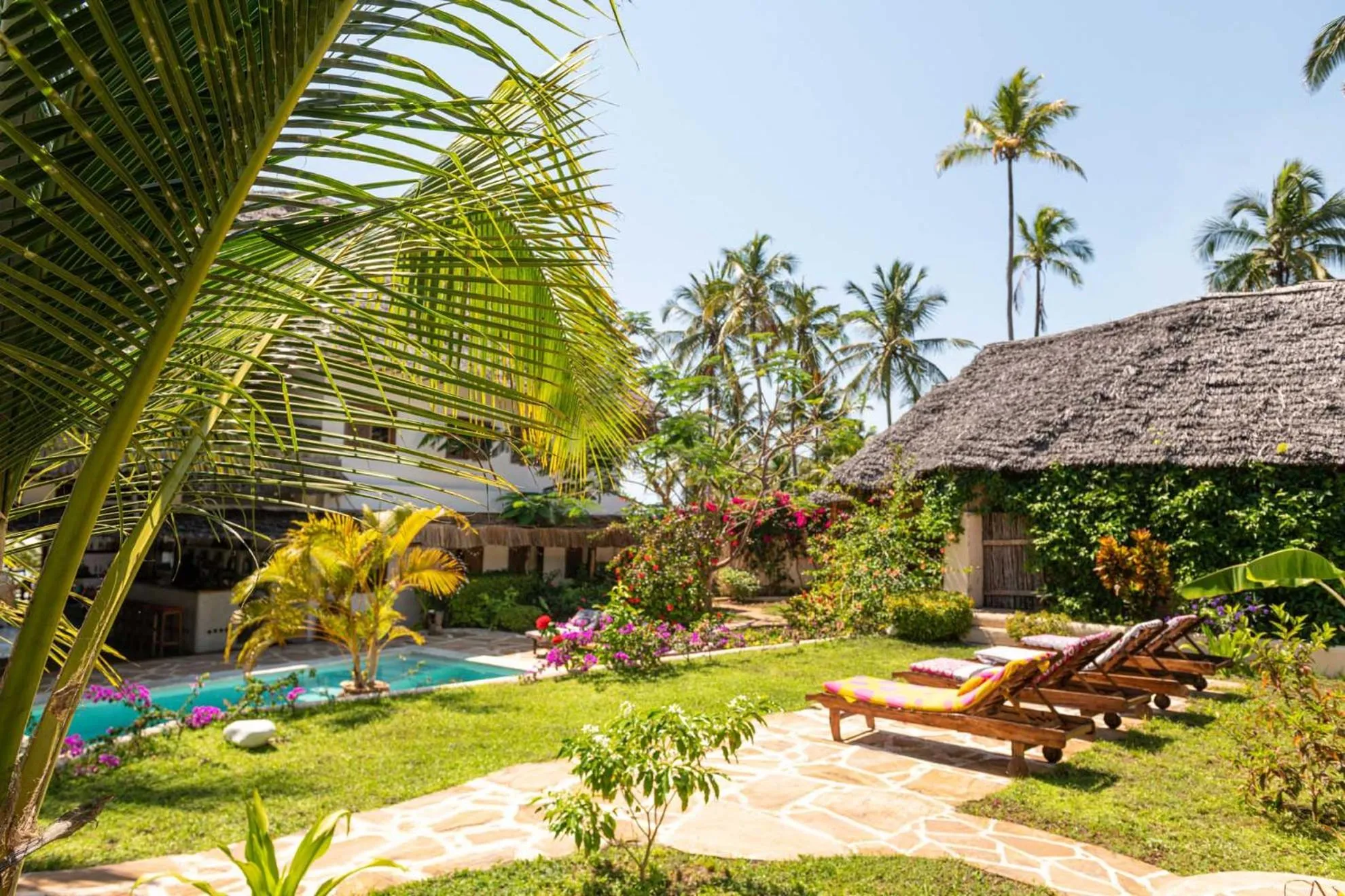 Garden in Hekaya Zanzibar