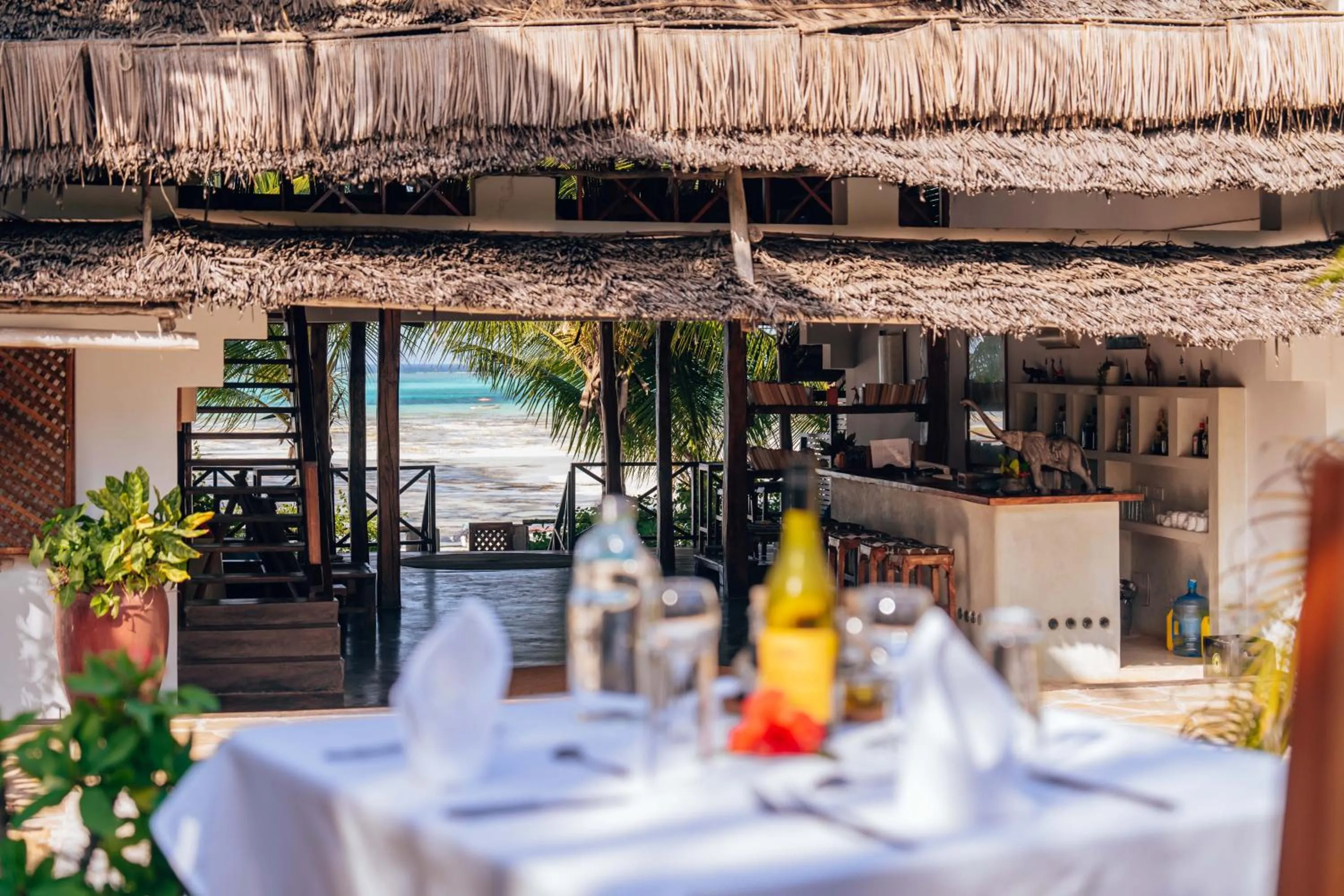 Natural landscape in Hekaya Zanzibar