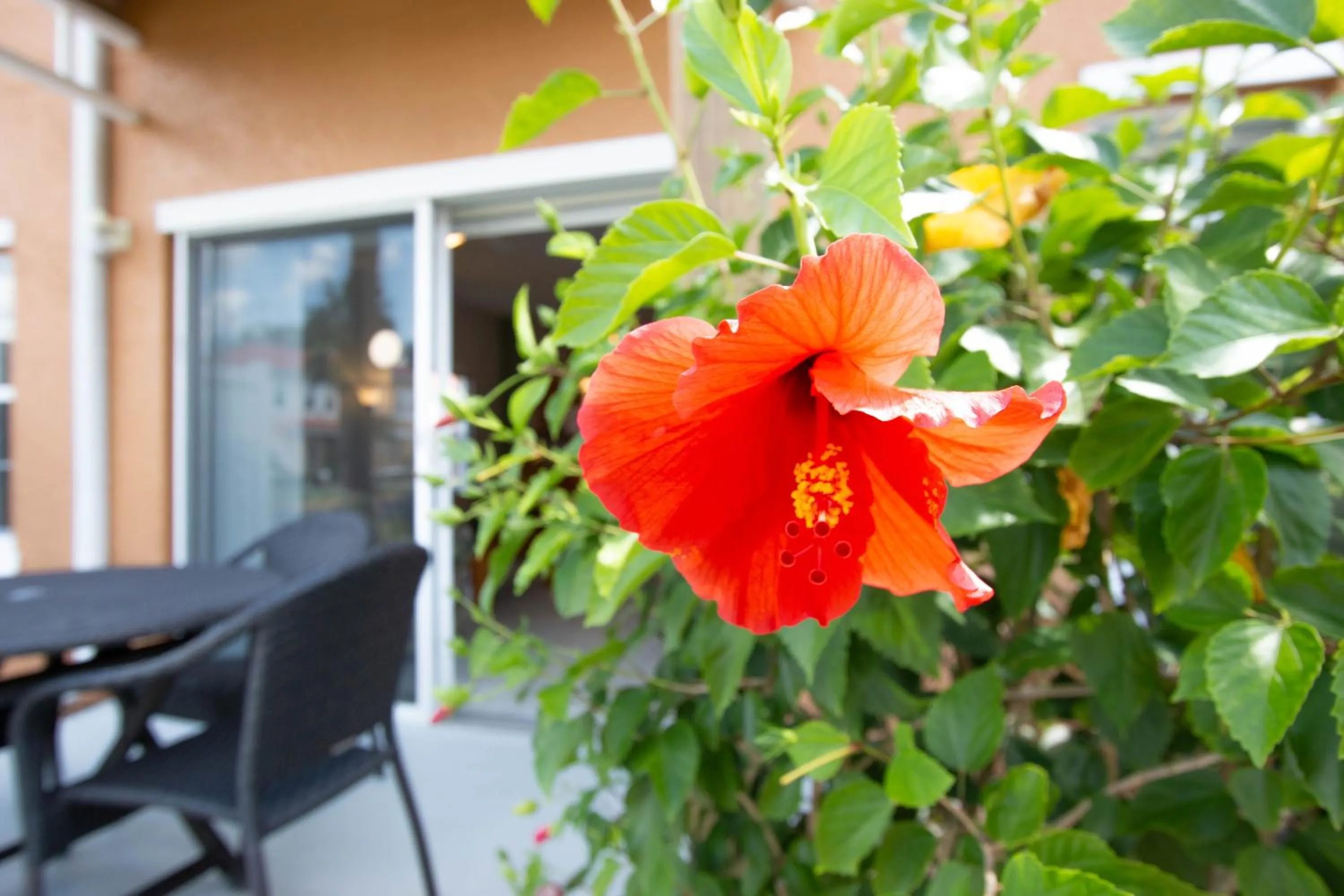 Garden in Berkley Lake Townhomes