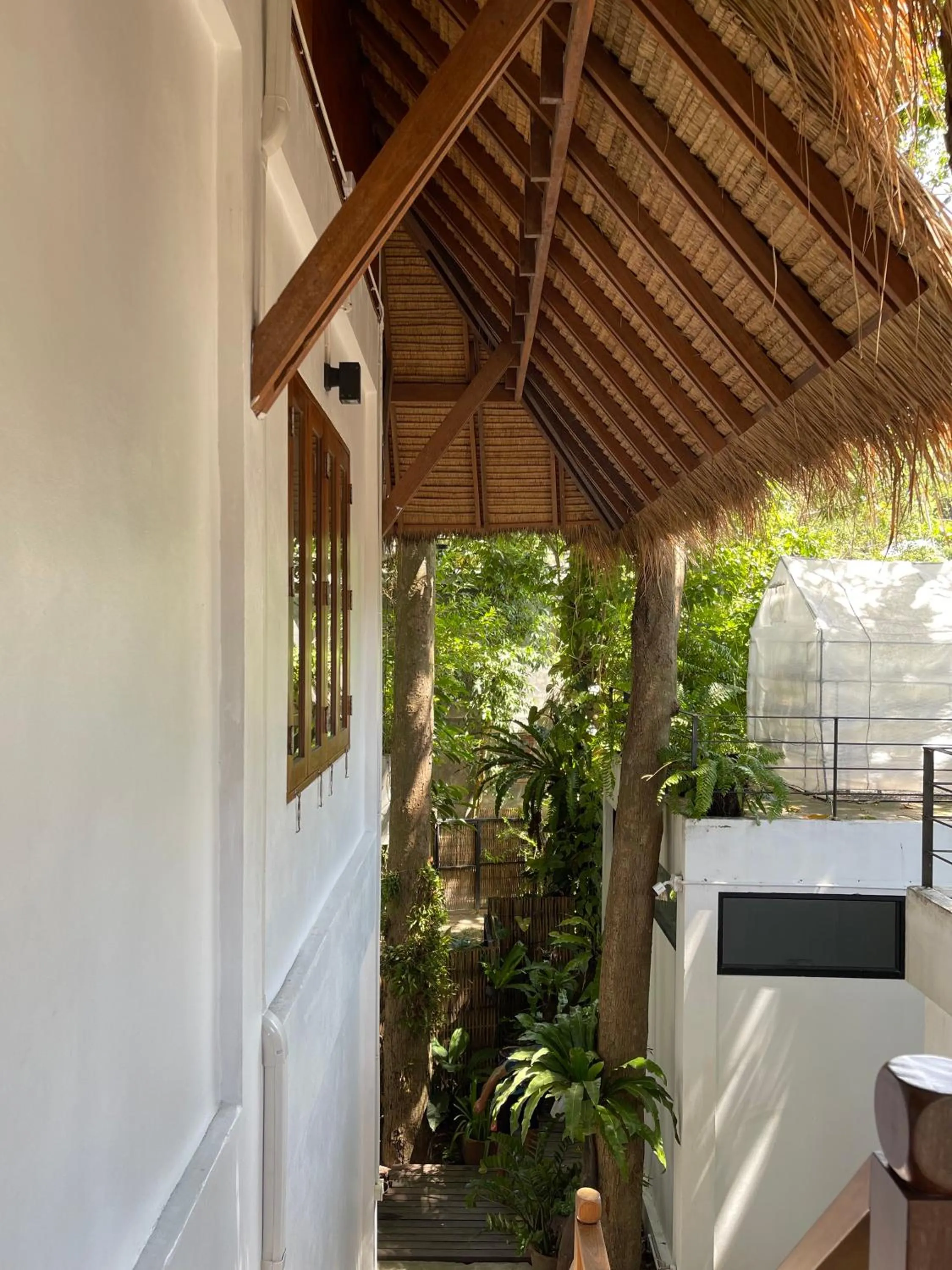 View (from property/room) in Big Tree Boutique Hotel